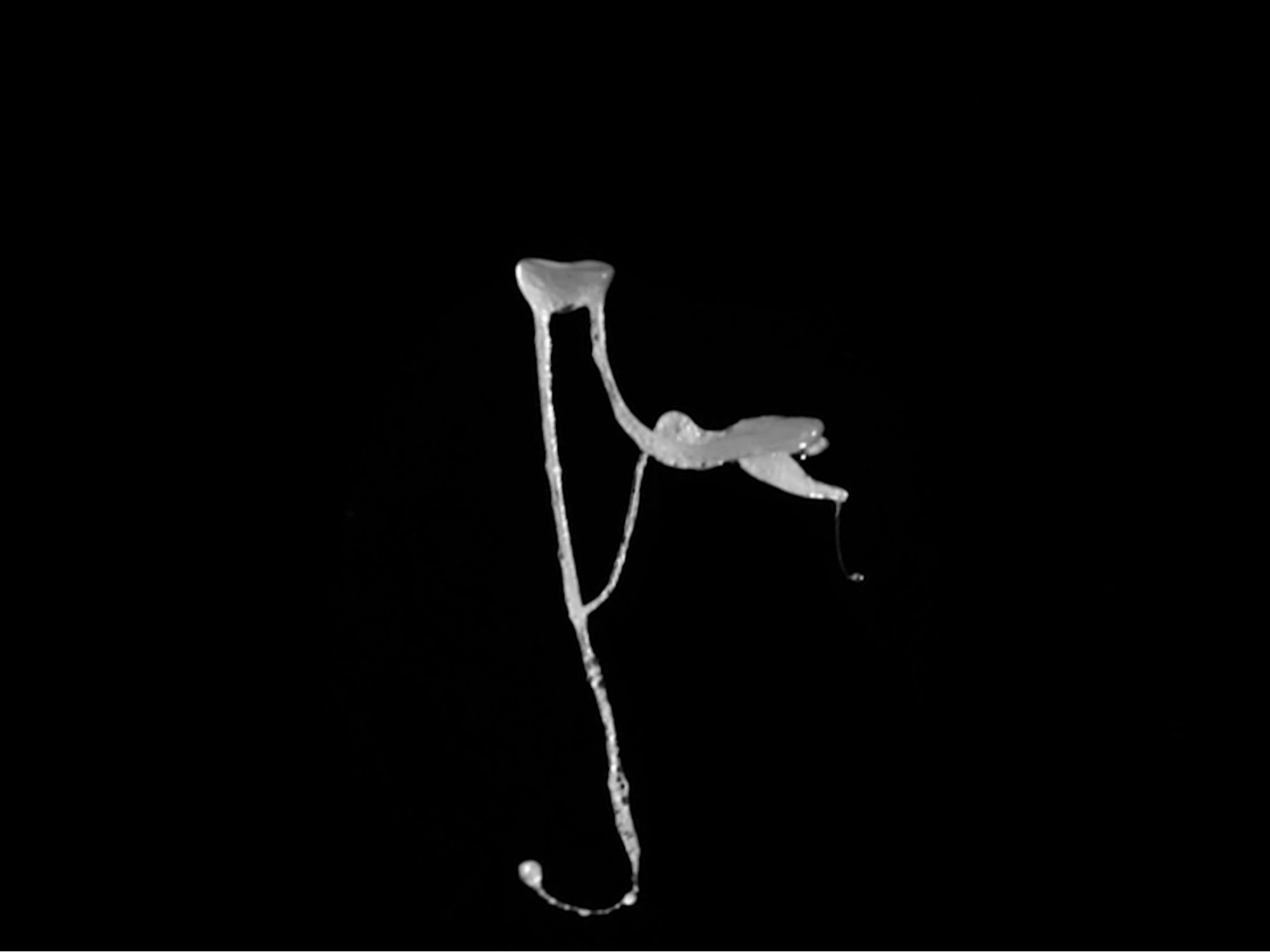 Utterance #9, 2022 [still]Single-channel video projection, b/w, silent25 sec. loop, variable dimensions