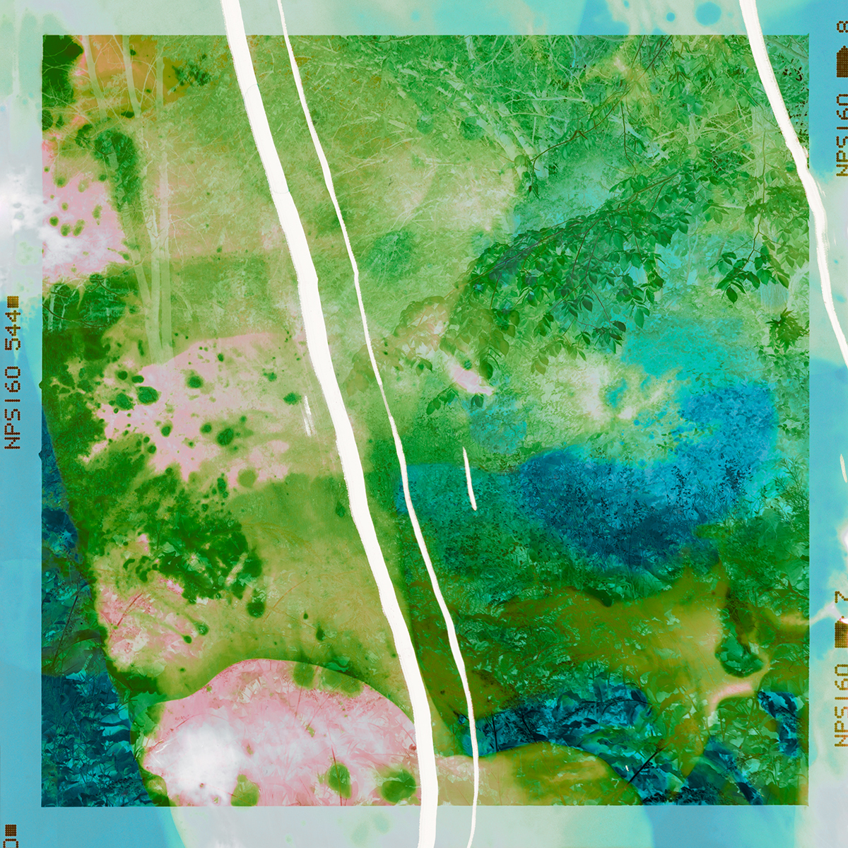 Blue Heron Lagoon, 2021