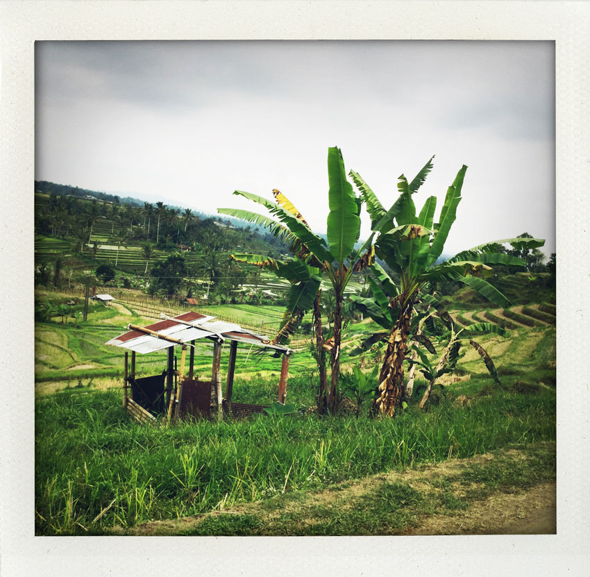 2015/08 Bali Indonesia