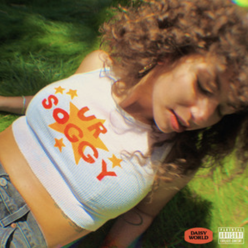 ur soggy / DAISY WORLD
