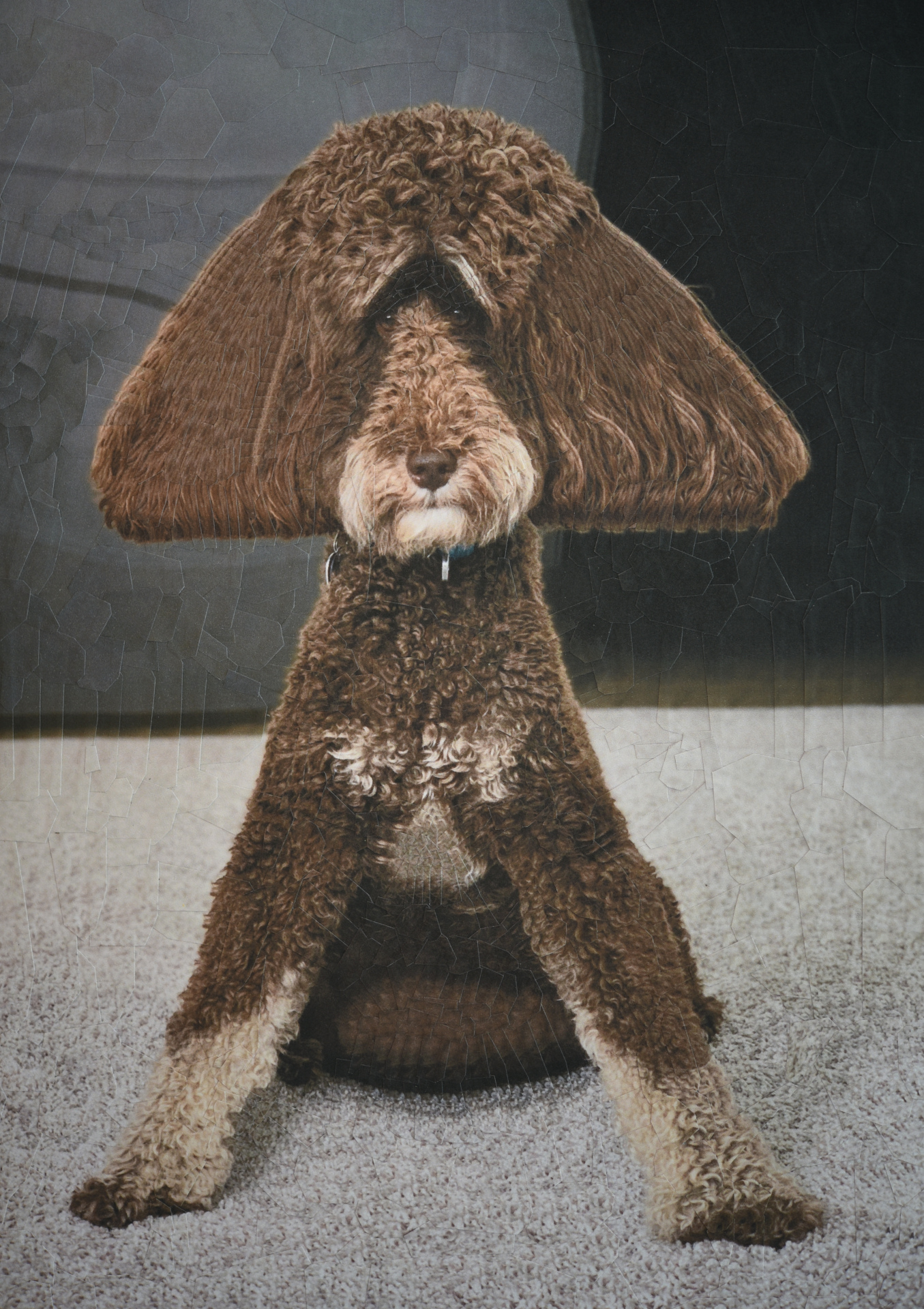 Baxter, 2020, 8.2 x 11.6 inches