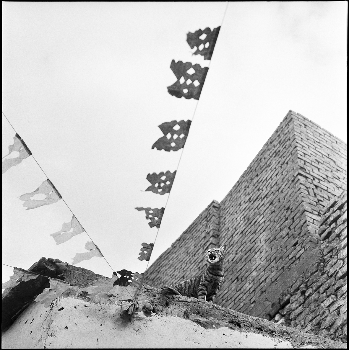 Cairo - Travel, 2003