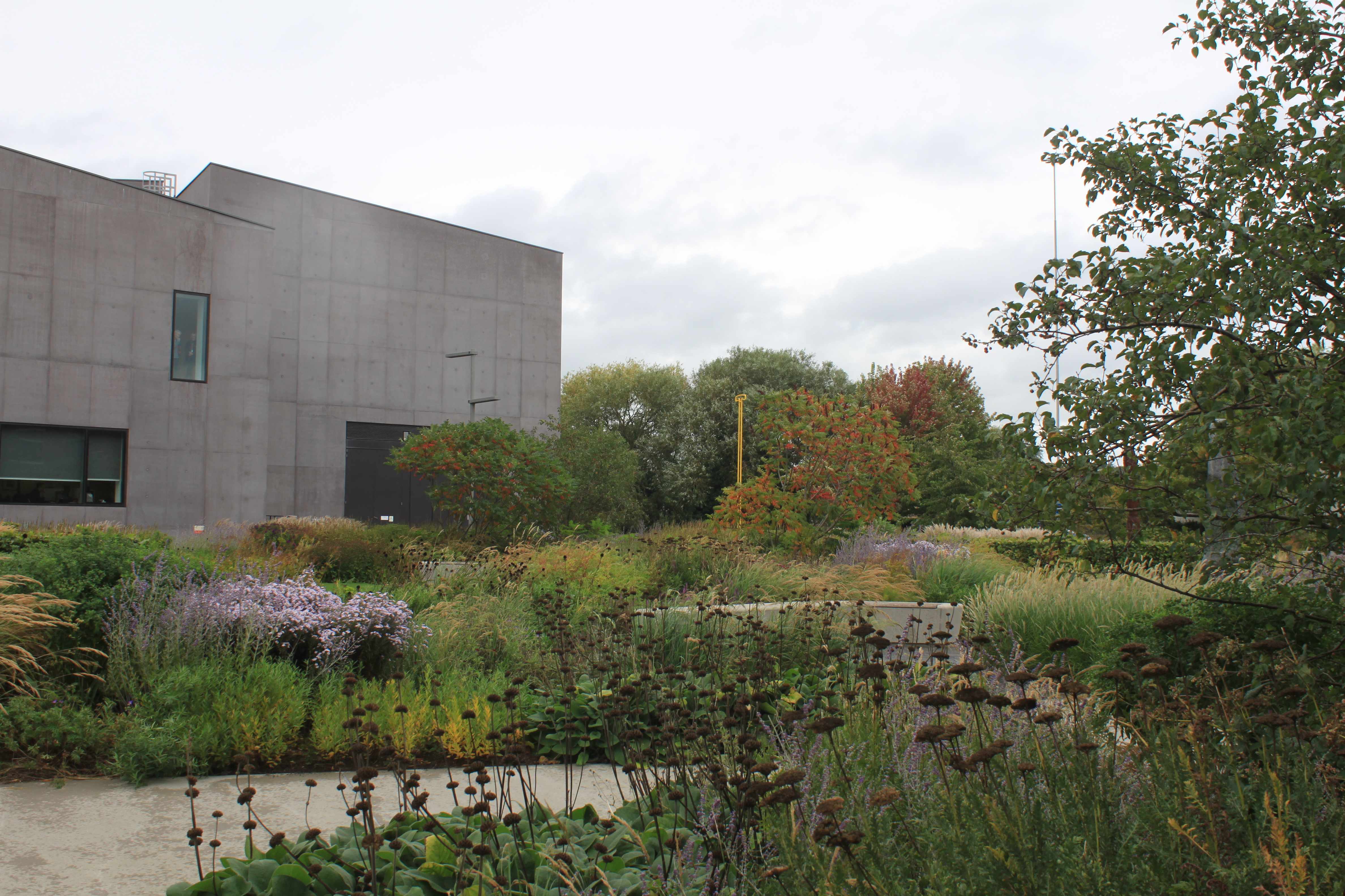 wakefield 📷 Cristina Audera