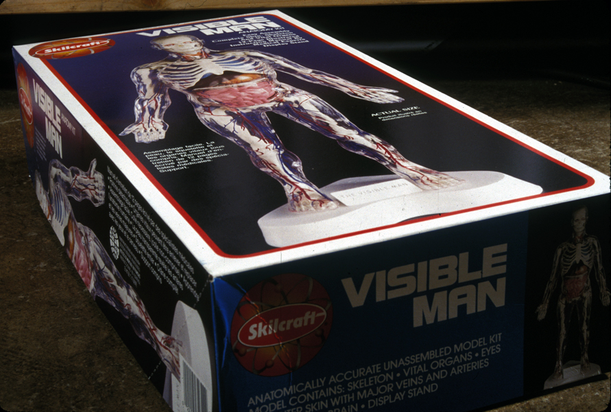 Visible Man in a Box 