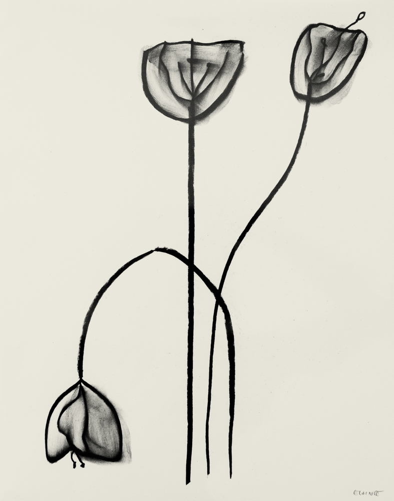 Floral Study #21, 2024