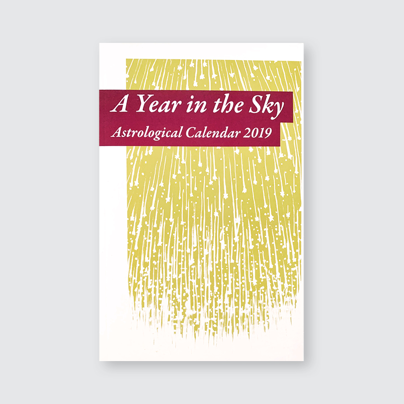 A YEAR IN THE SKY