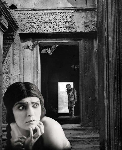 Regina Lafay Bellamy