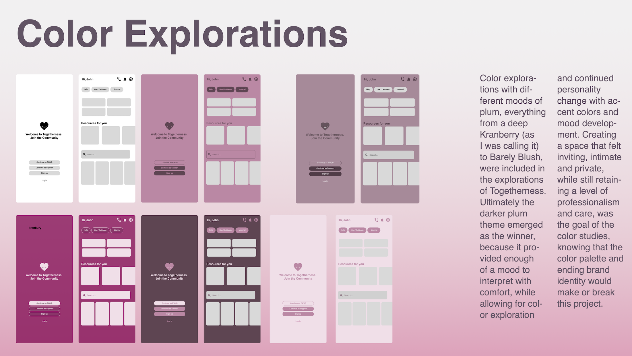 Plum Color Iterations