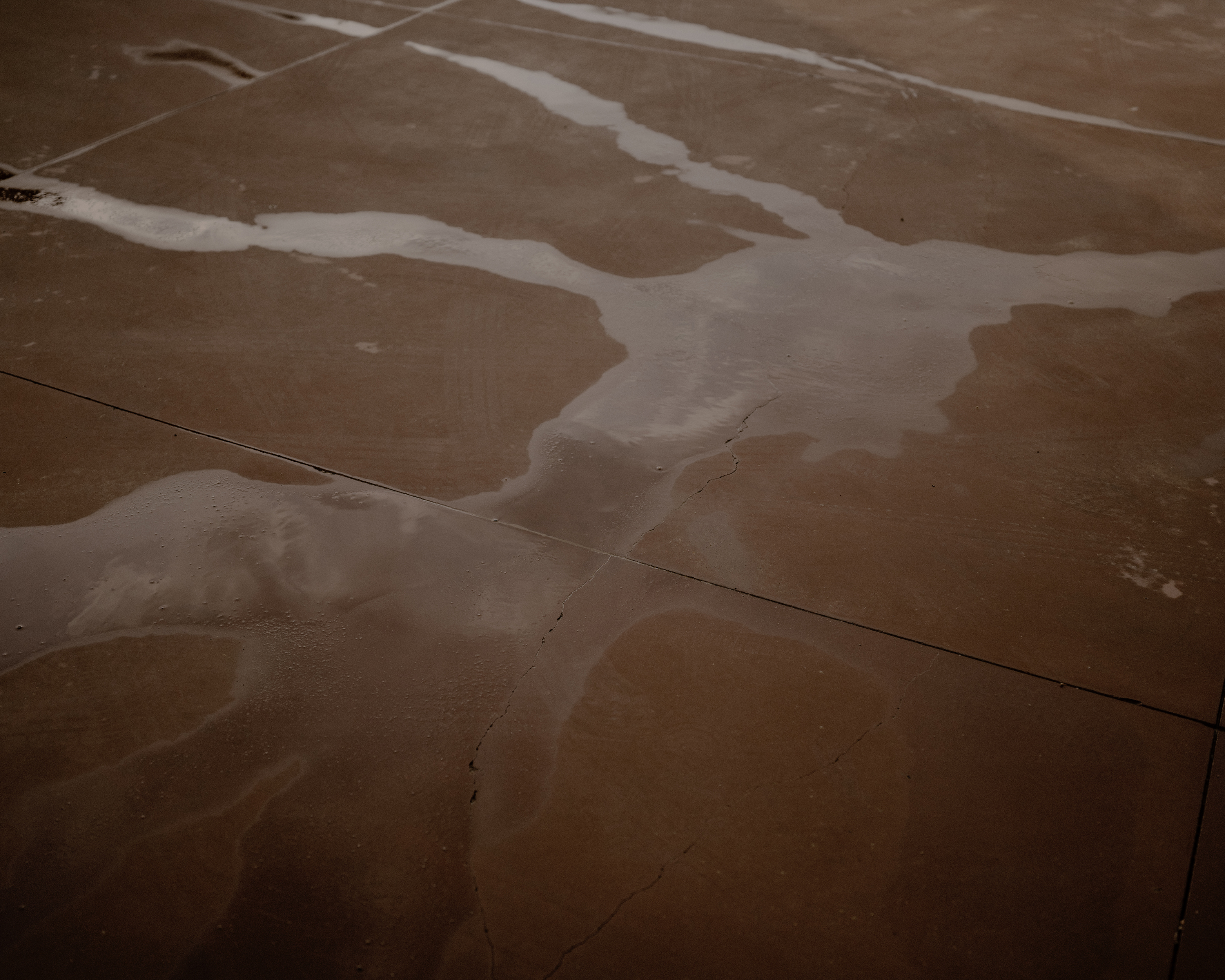 After the Rain (Puddle)