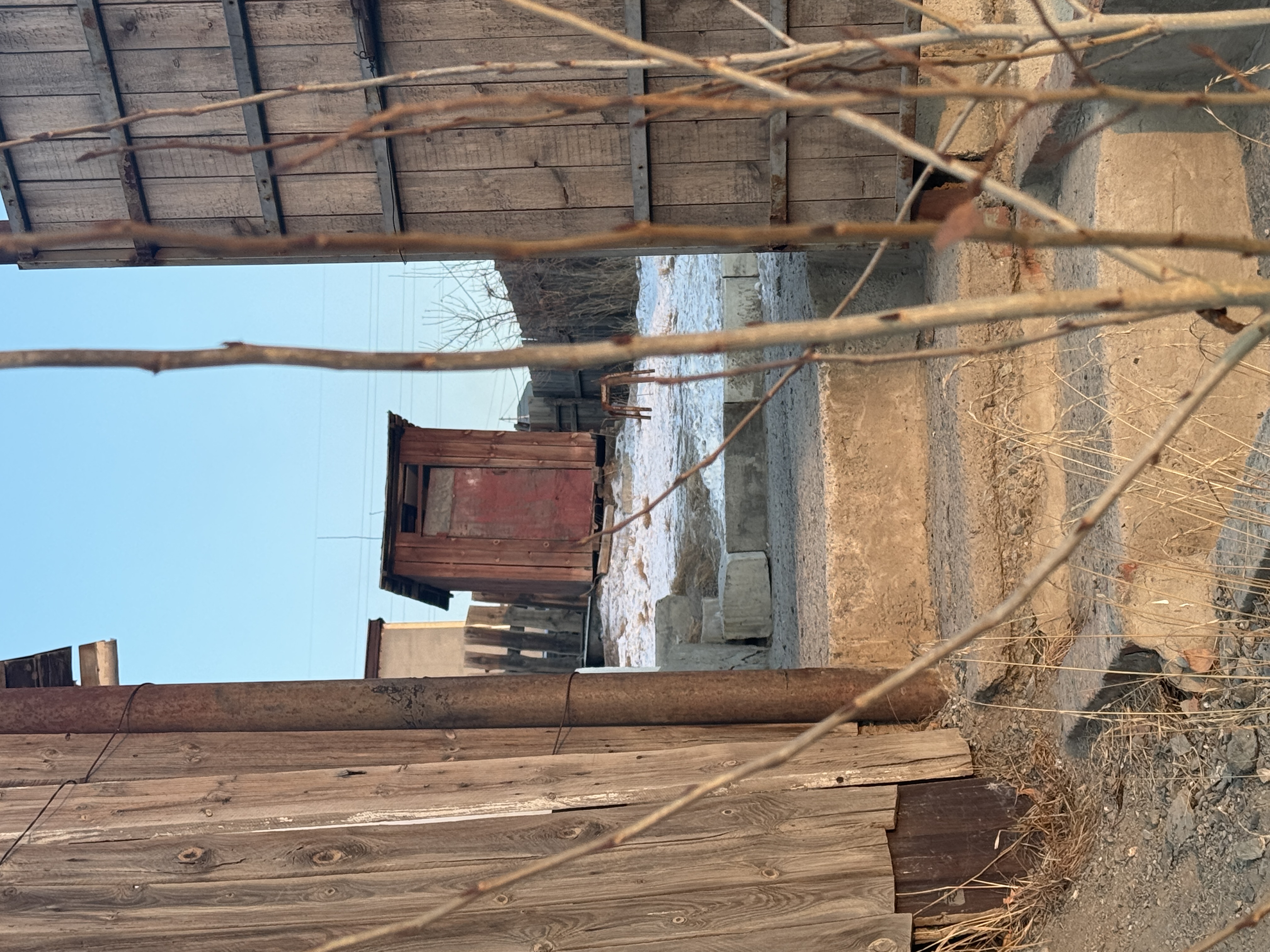 #123_Ulaanbaatar,Mongolial_Bishrelt Solongo