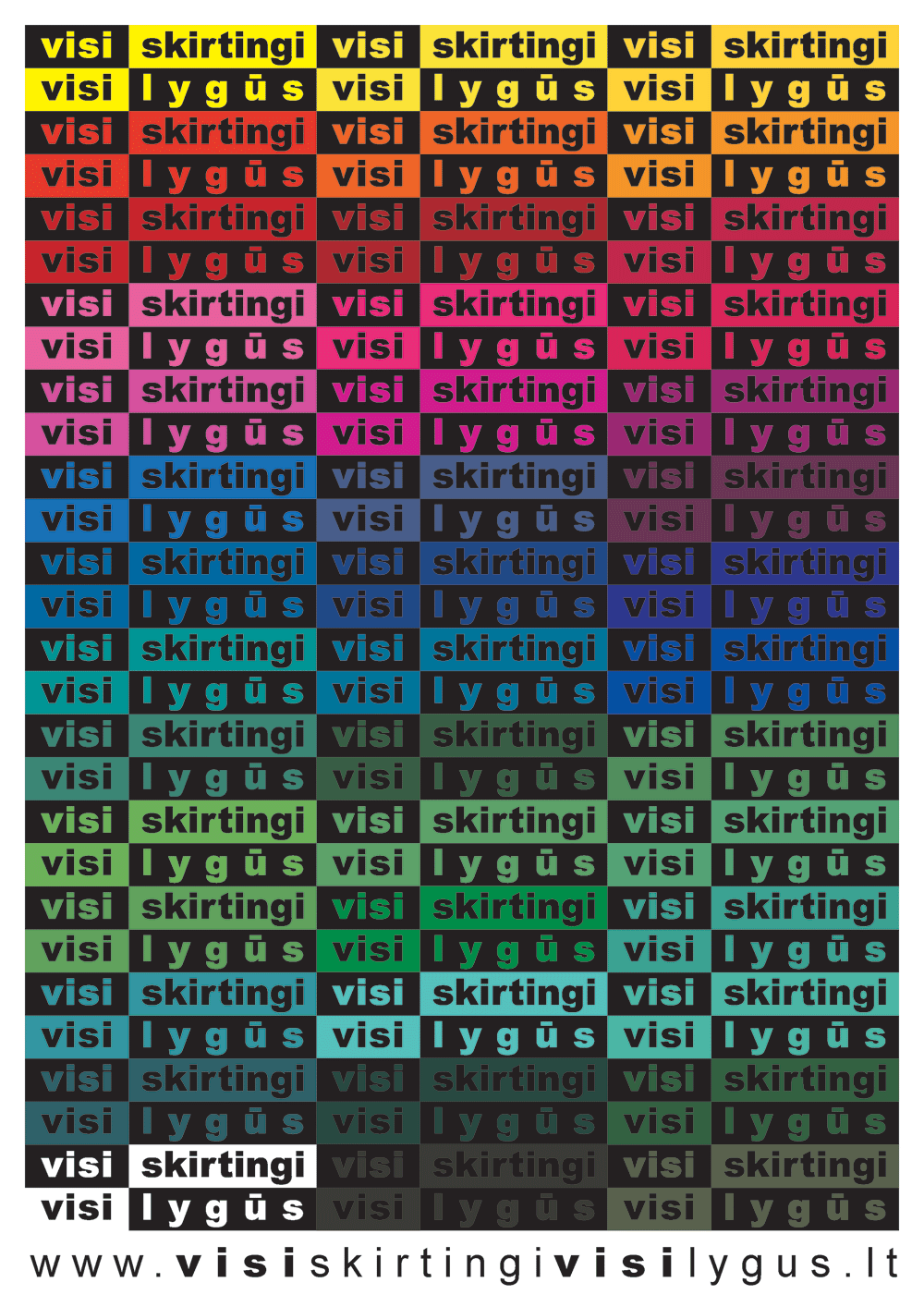 Diversity campaign 2007