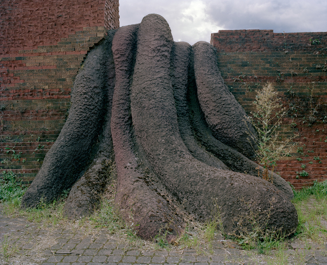 RESEARCH AND PERCEPTIONS