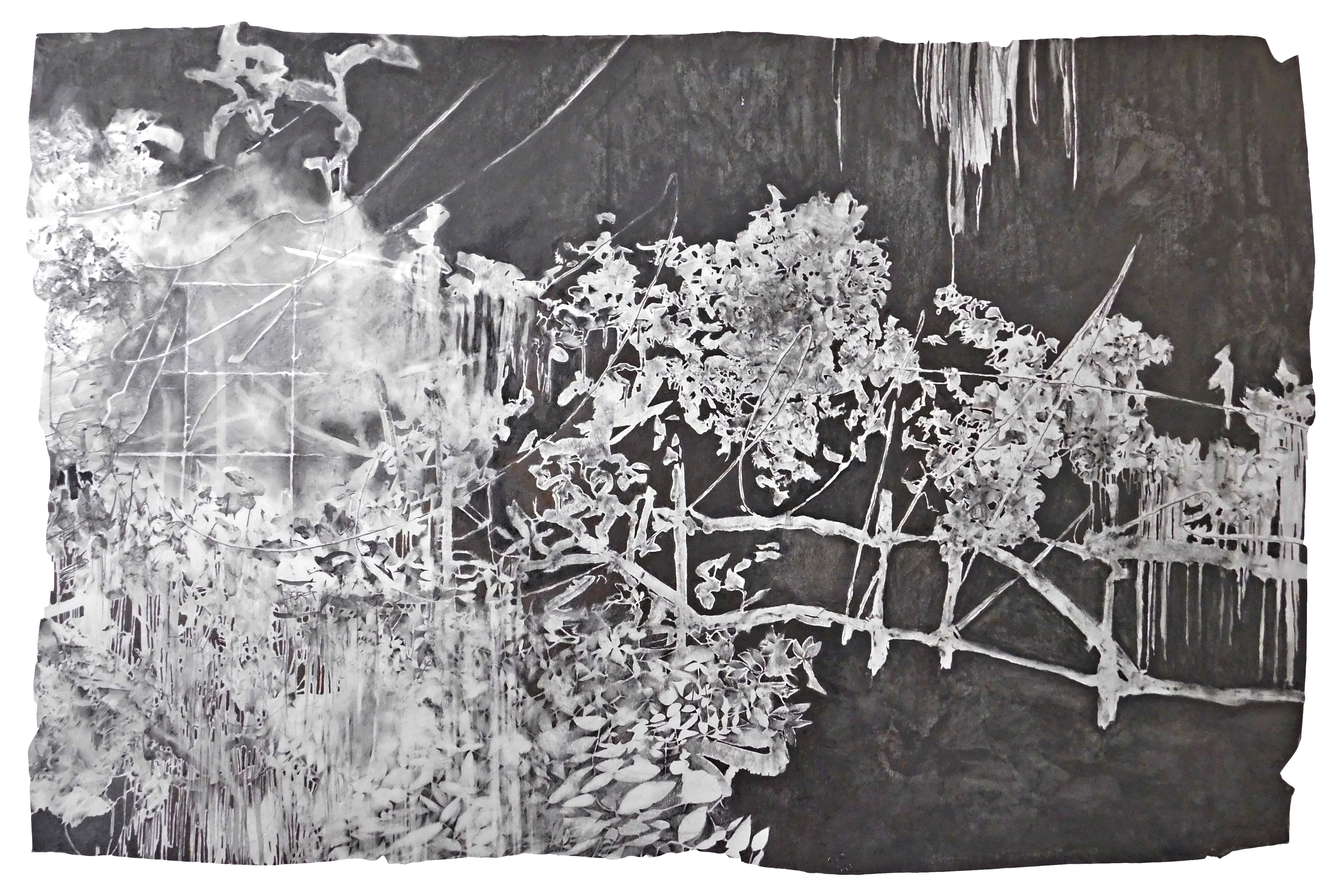 untitled 2 | graphite on paper | 29 x 42 inches