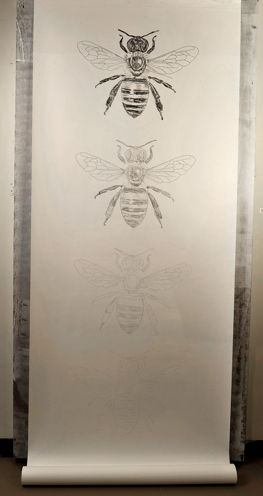 Going, going, going, gone - Honey bee, 2013