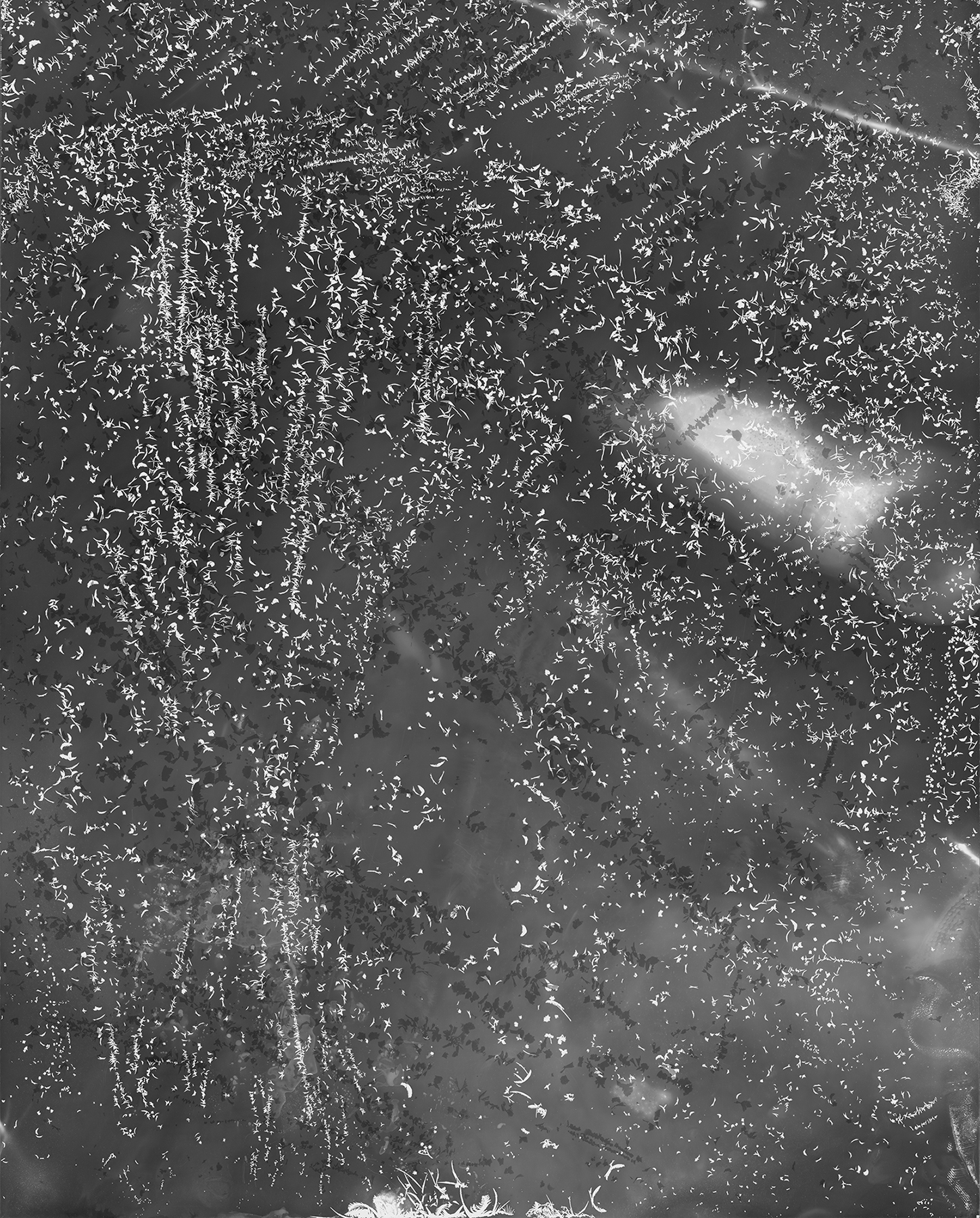 New Moon (Scattered), 2018, 20 inches x 16 inches, Silver Gelatin Print