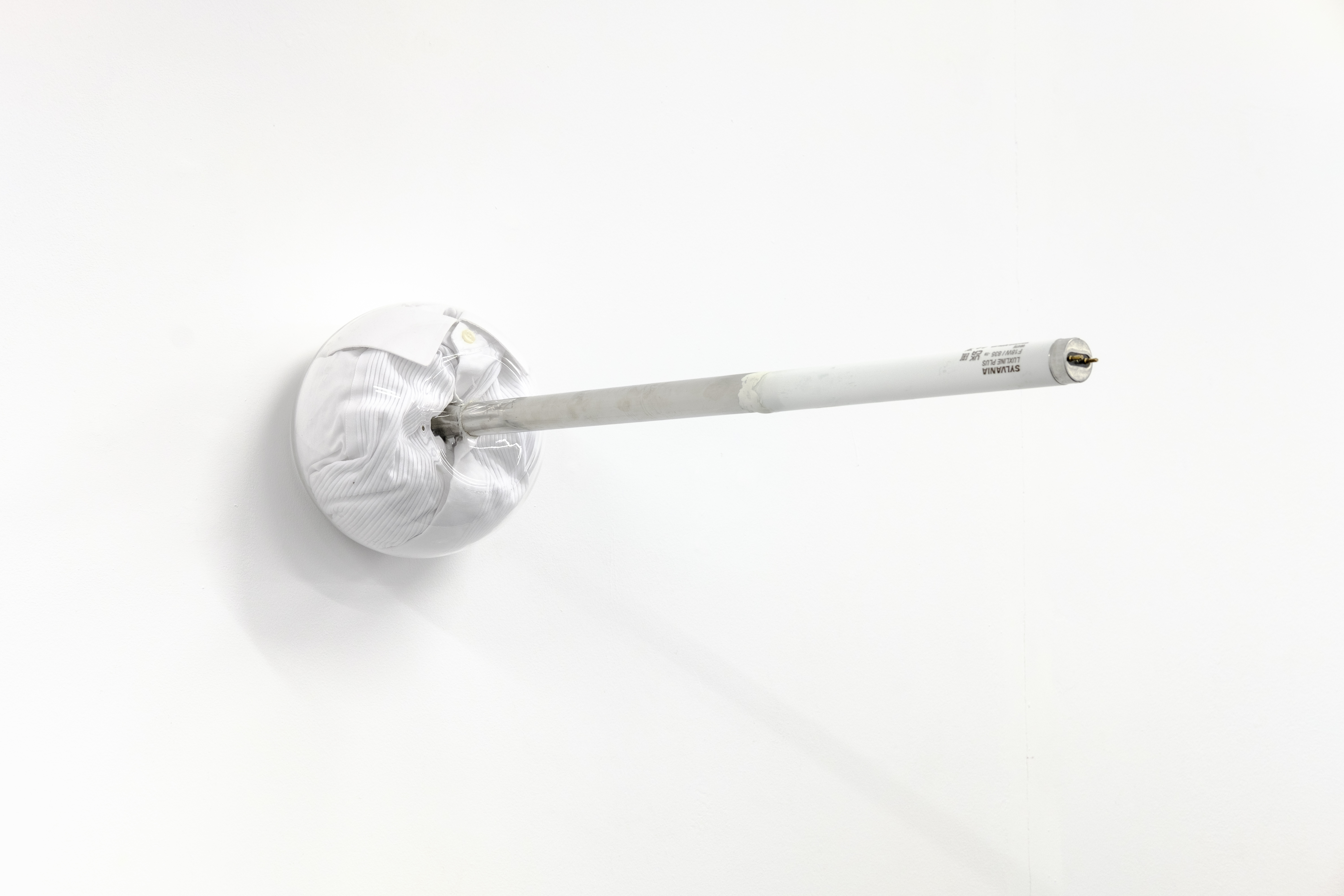 Seed, 2022, Fishbowl, White shirt, Lightbulb, Steel, Epoxy. dimensions variable