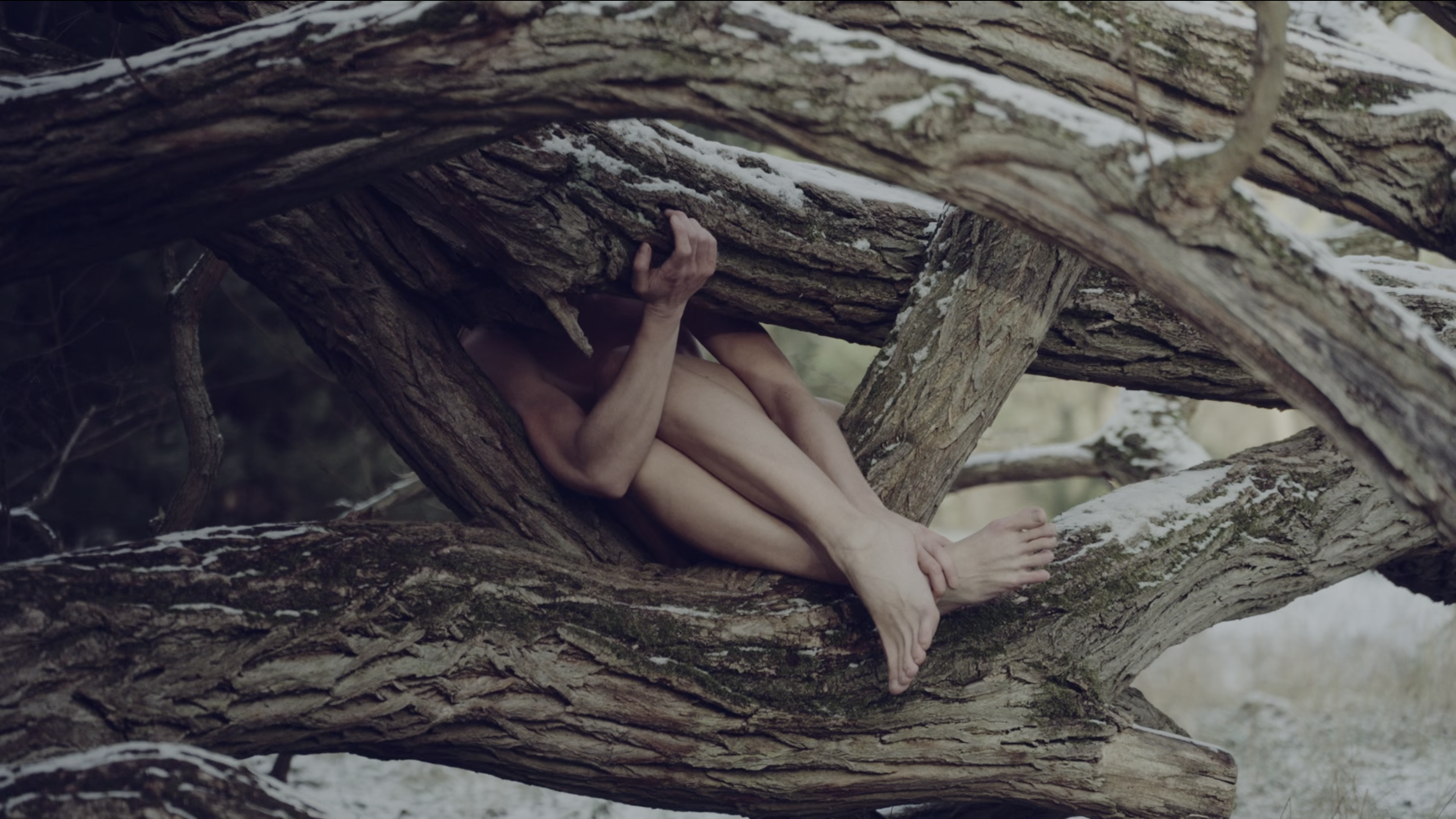 Polisfera | music video