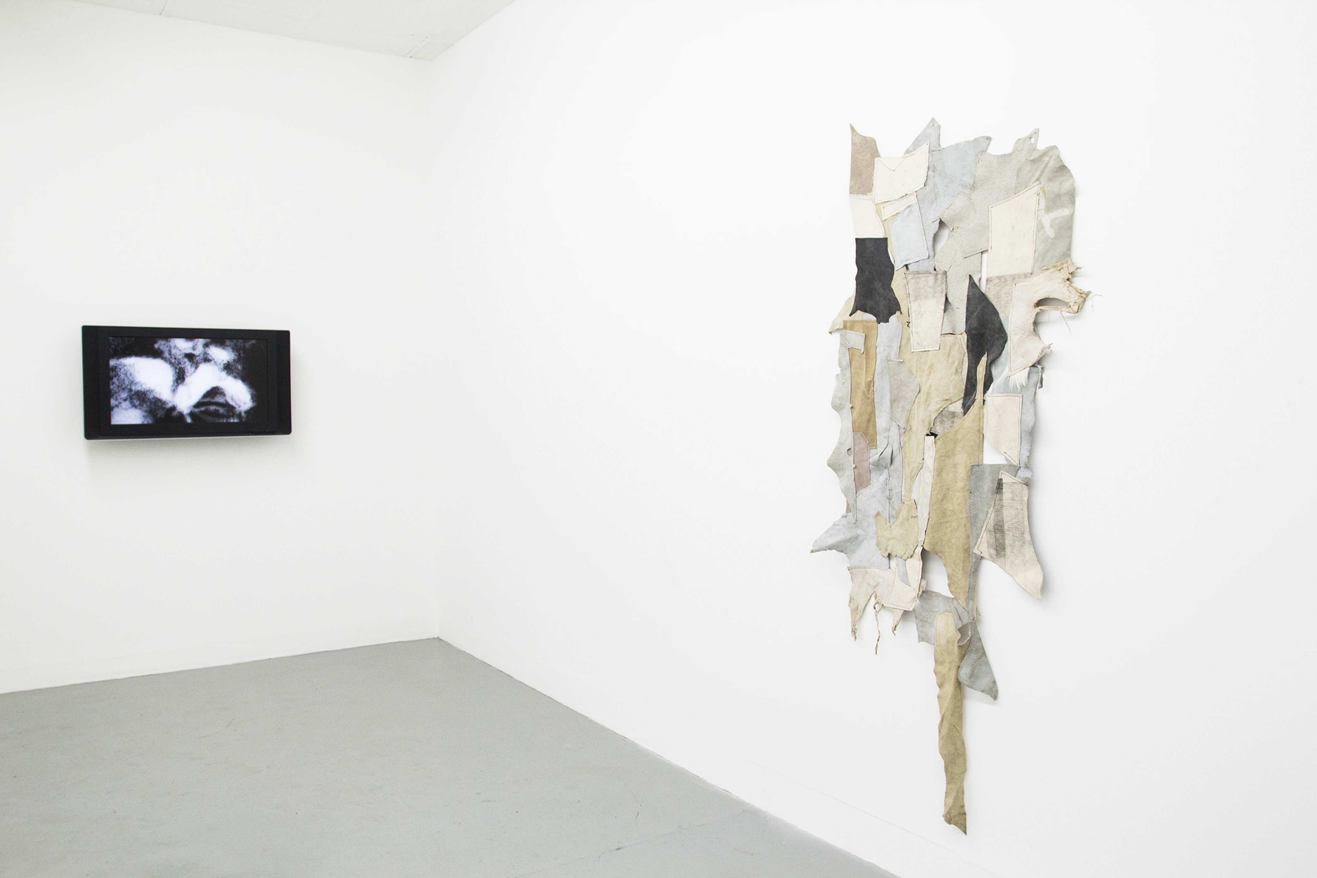 3 881 days (2016) | Installation view at blank projects, Cape Town