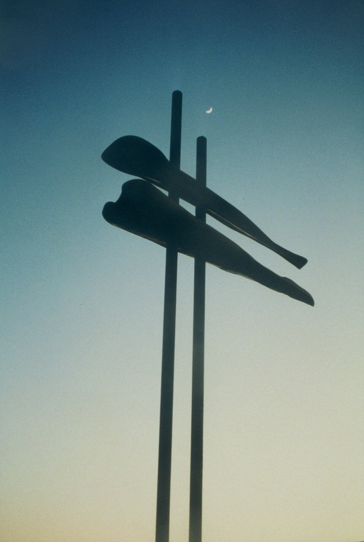 Totems - SKOOKUM (Elevated). 1998