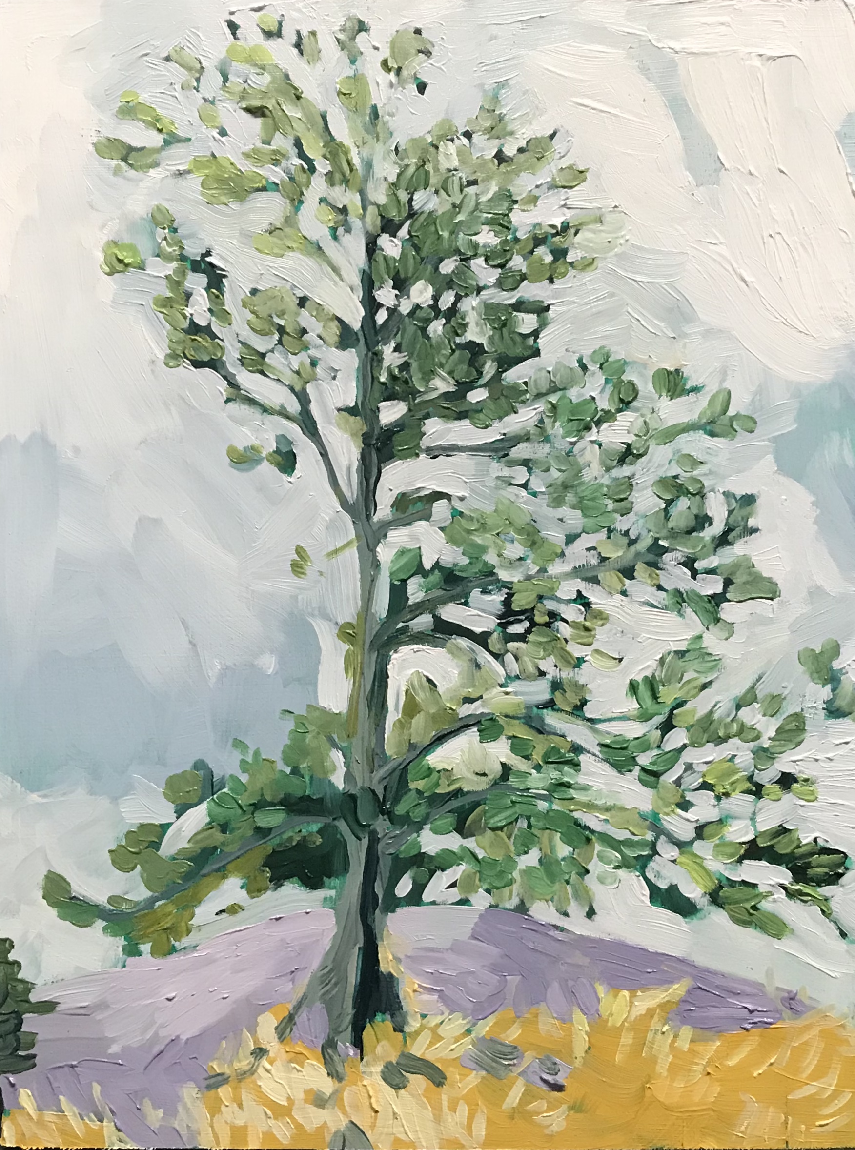 Hilltop Oil on panel. 12x16. 2018