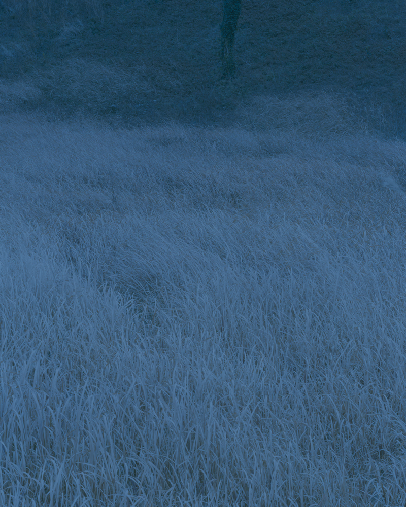 View Point Blue #Seodal Oreum, 137x109cm, Pigment Print, 2022