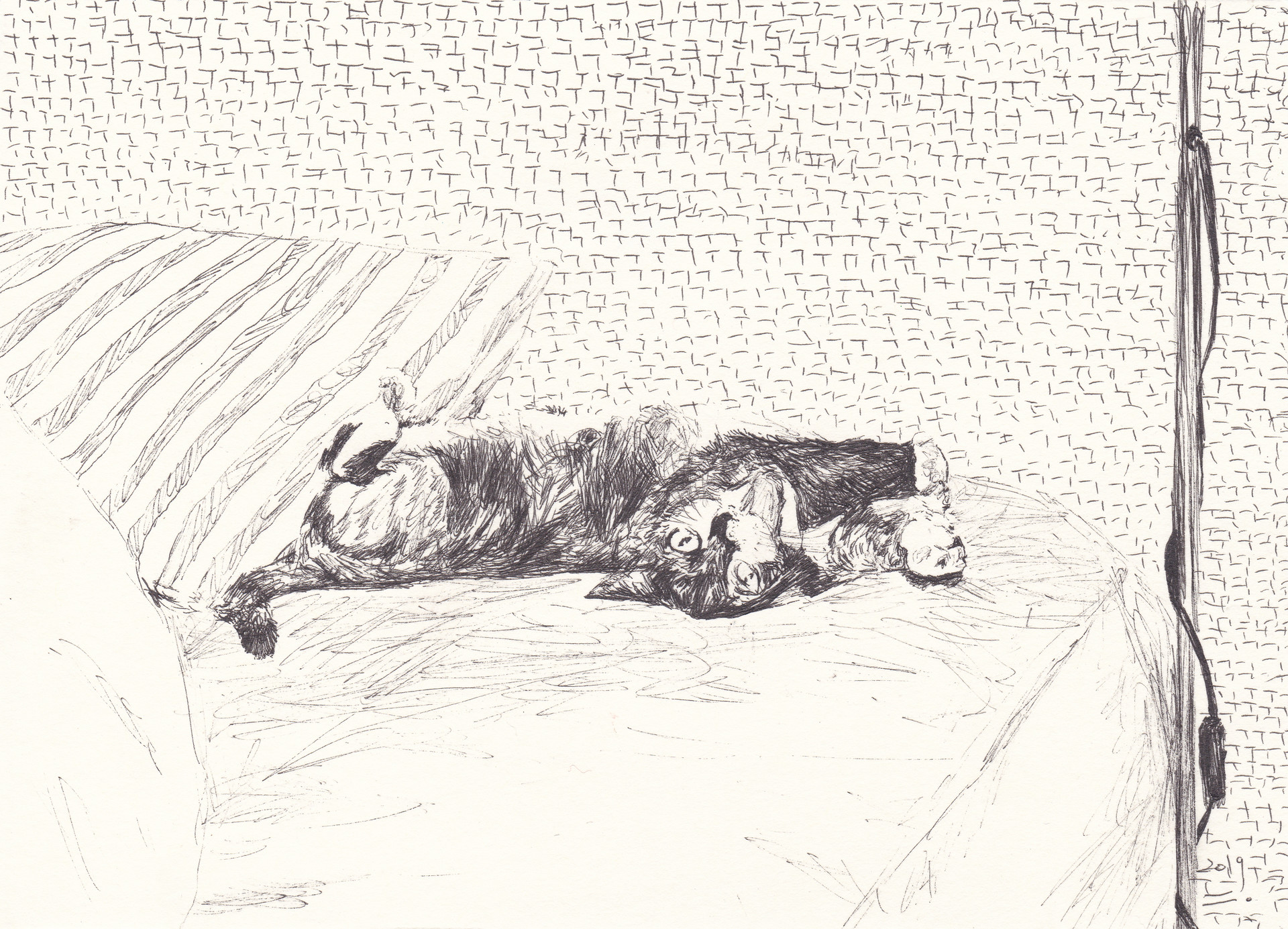 하품하는 바기라, 2019, pen on paper, 14.8*21(cm)