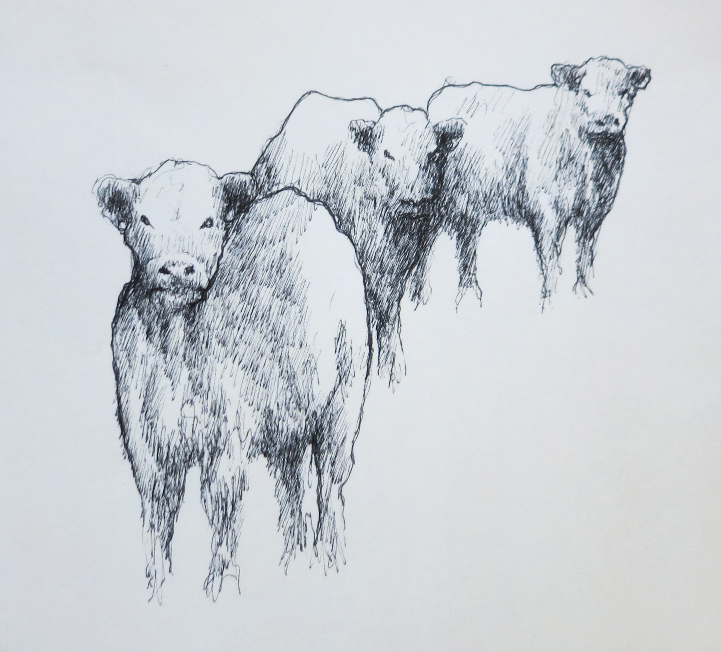  Ink on paper &ndash; 8&rdquo; x 11&rdquo; 