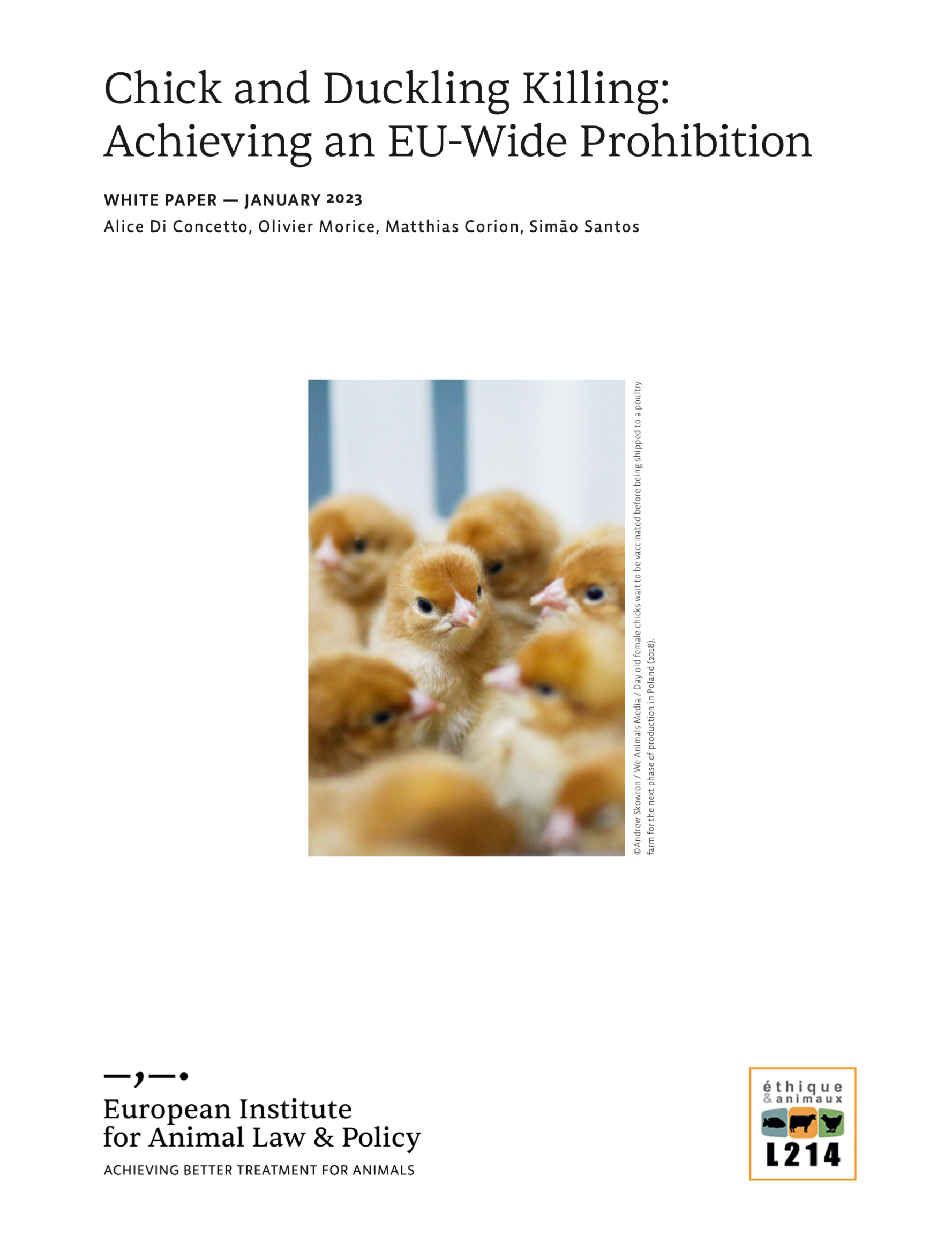 Animal Law, white paper layout, 2023