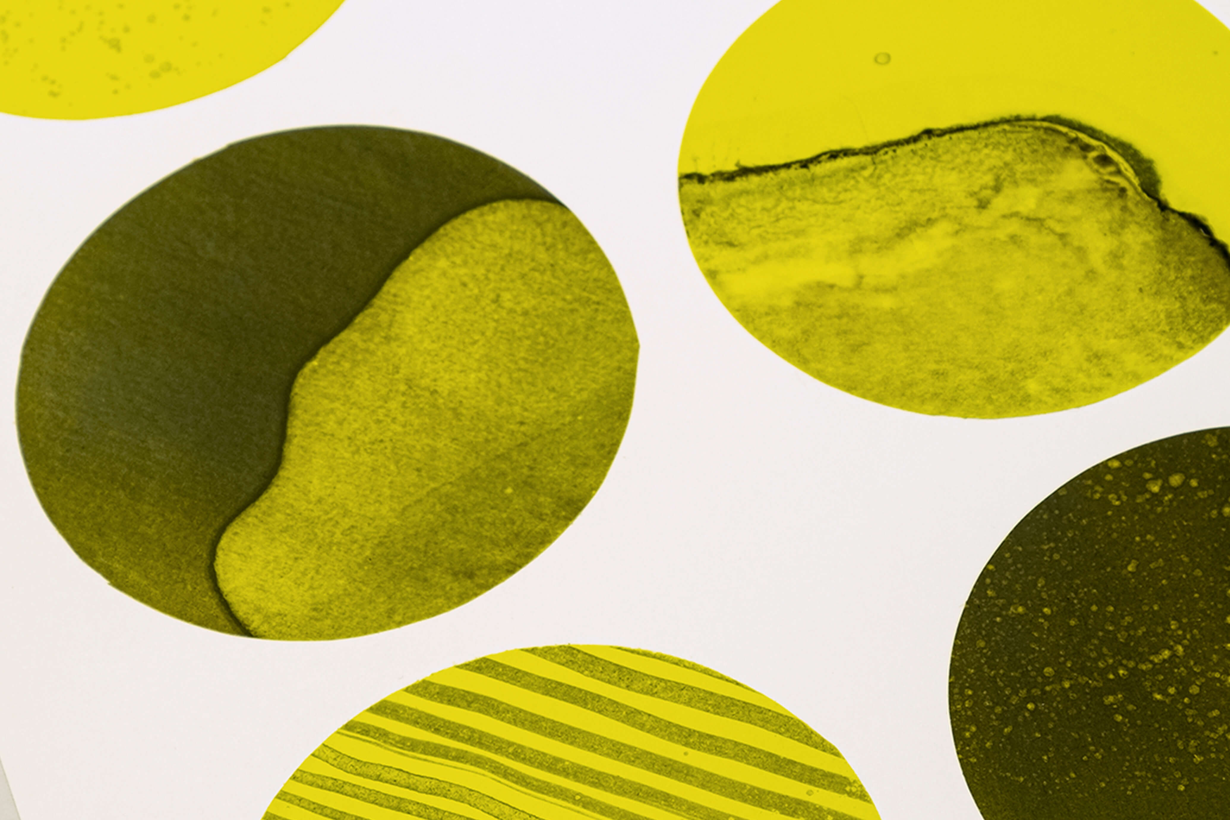 In Vitro (Yellow), U.T.S. 2015