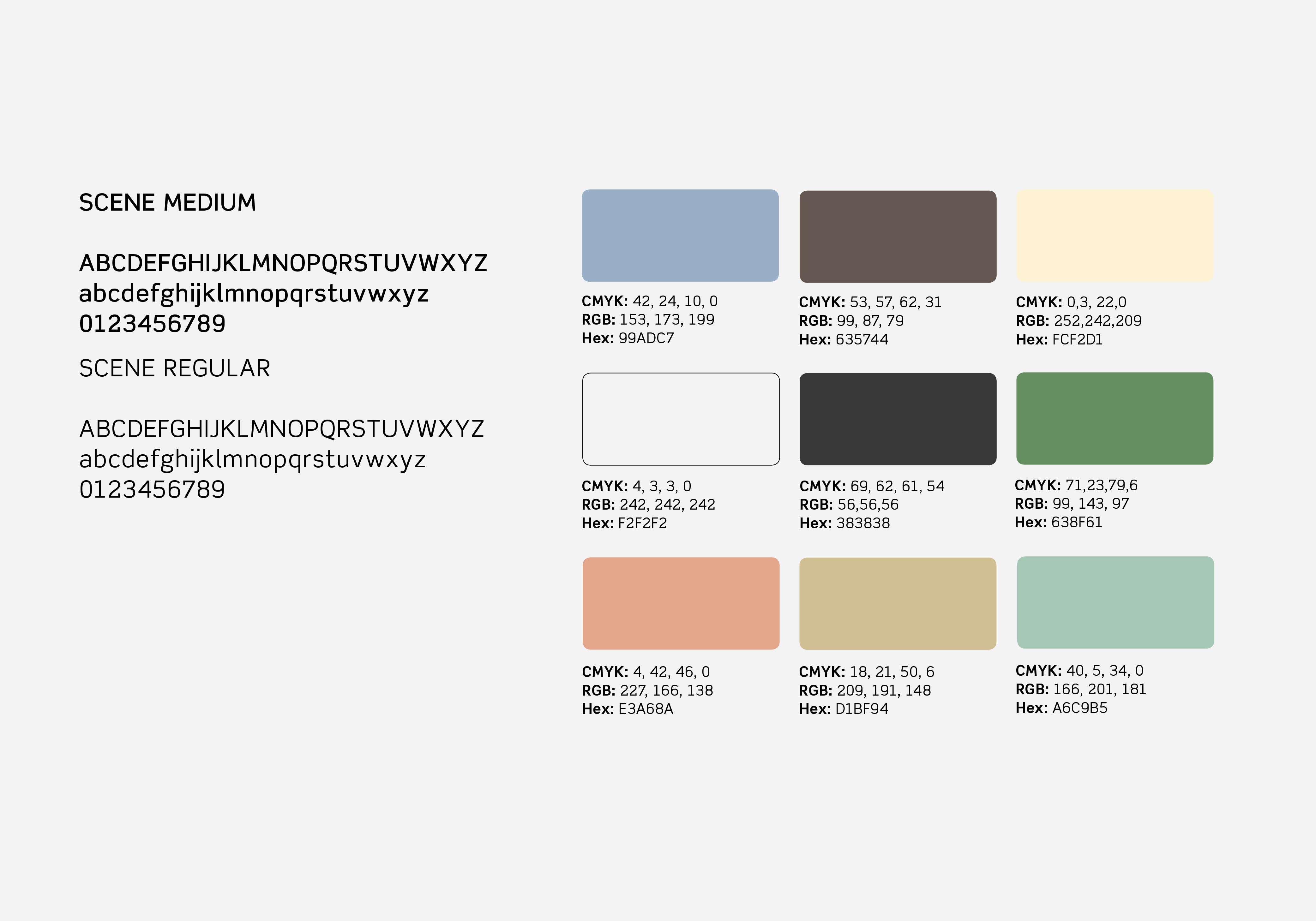 ︎Choice of typeface and color palette