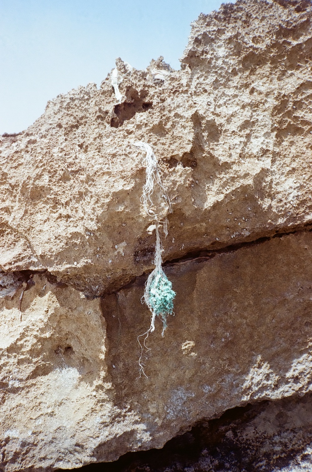 @questioning_what_is_nature                        is an ongoing poetic exploration of the uncanny dichotomy between &ldquo;natural&rdquo; and &ldquo;artificial&rdquo;