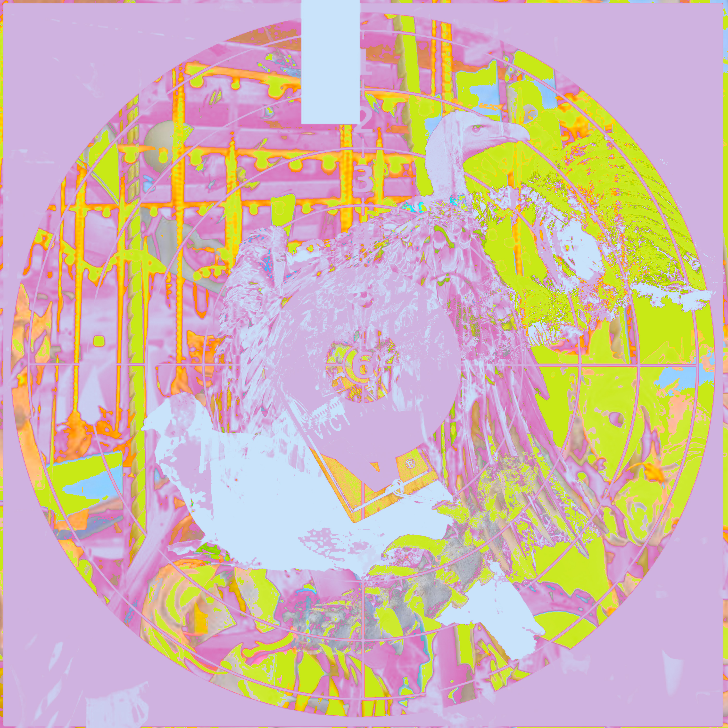 i learned that hunger is a symptom