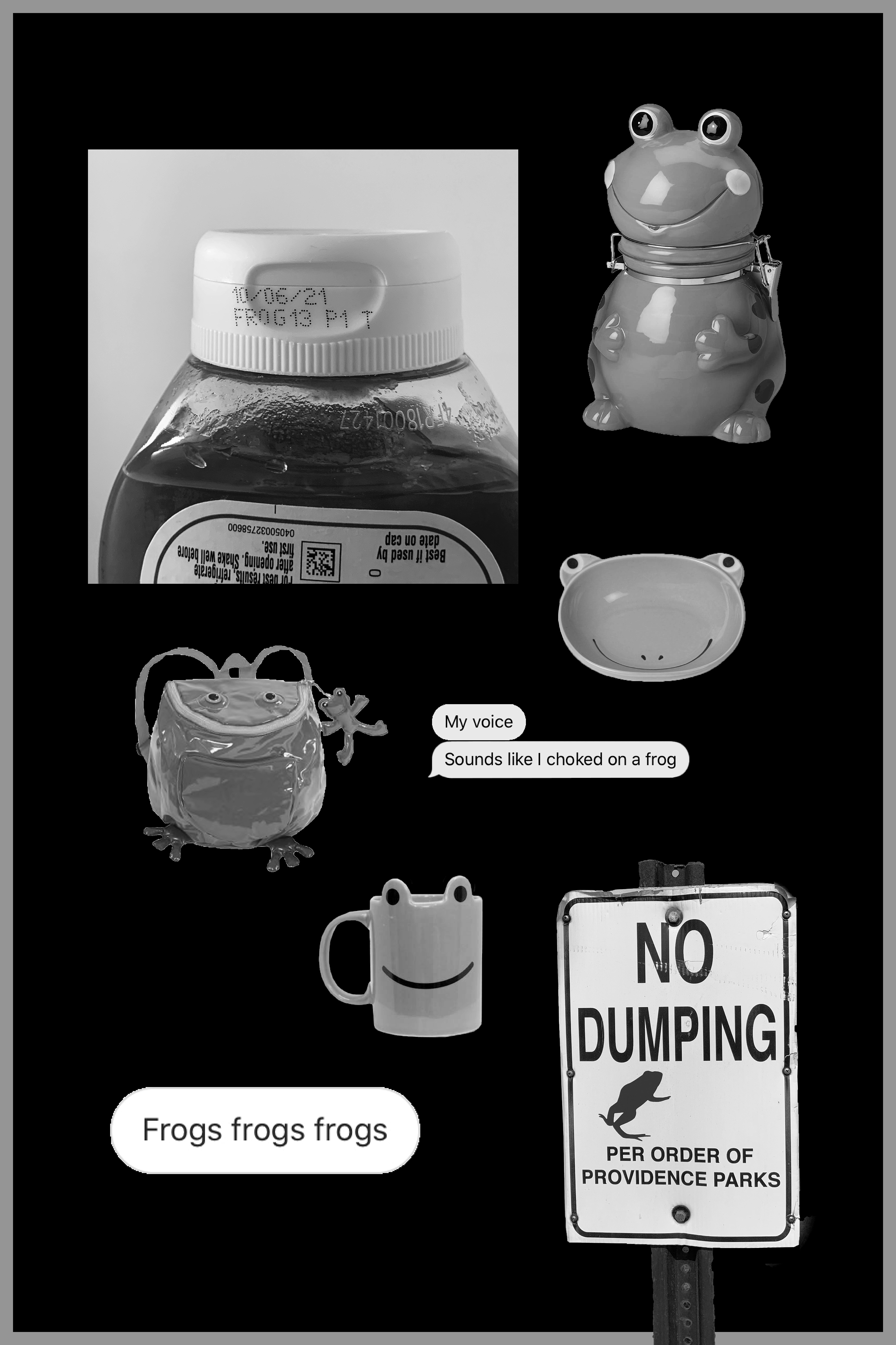 Inclusion poster (images with collective narrative)