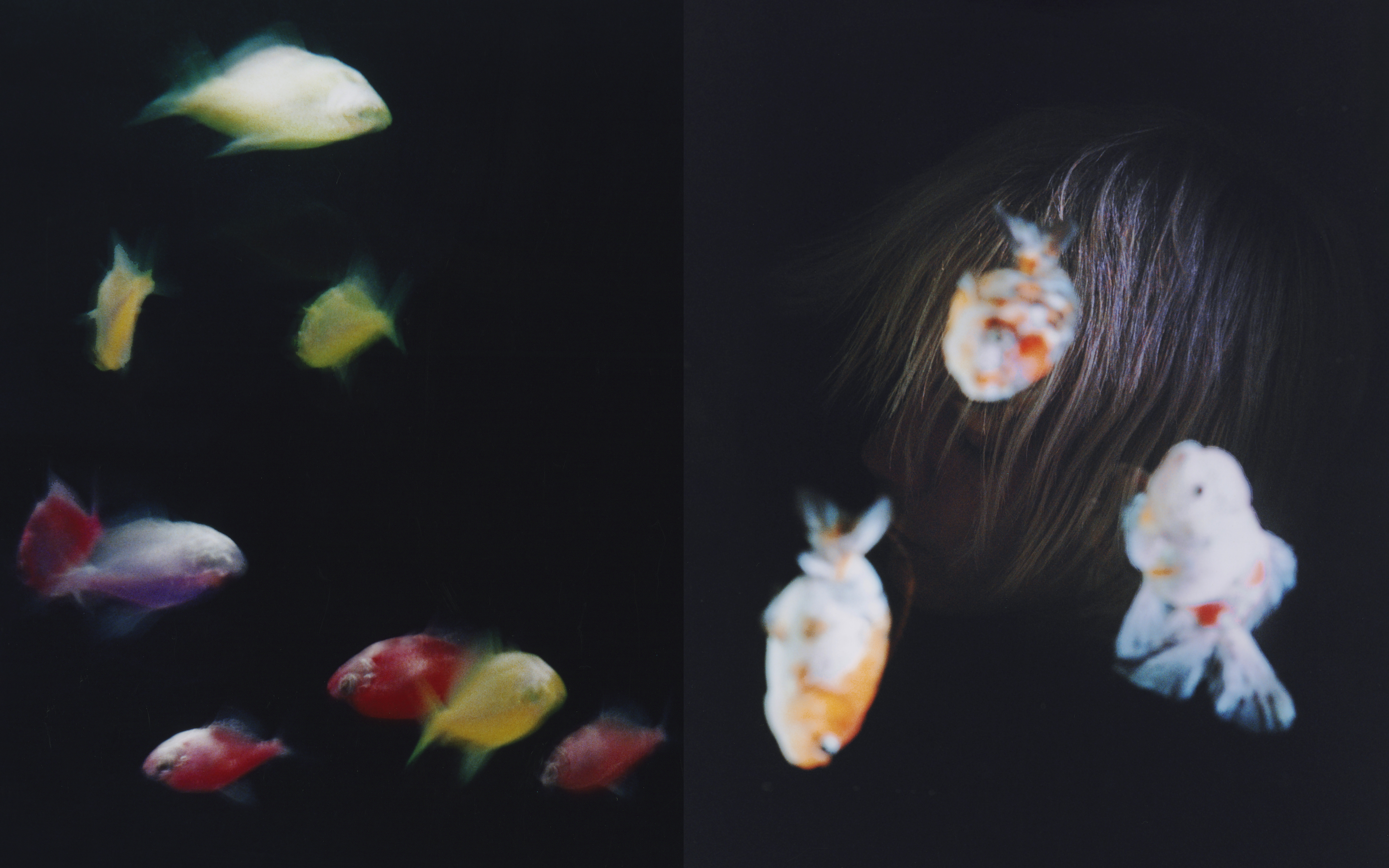 "chasing moving trains" by roy blair