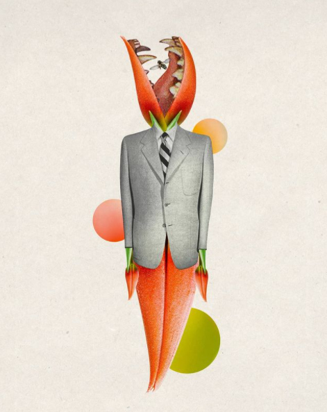 Guilherme Albuquerque