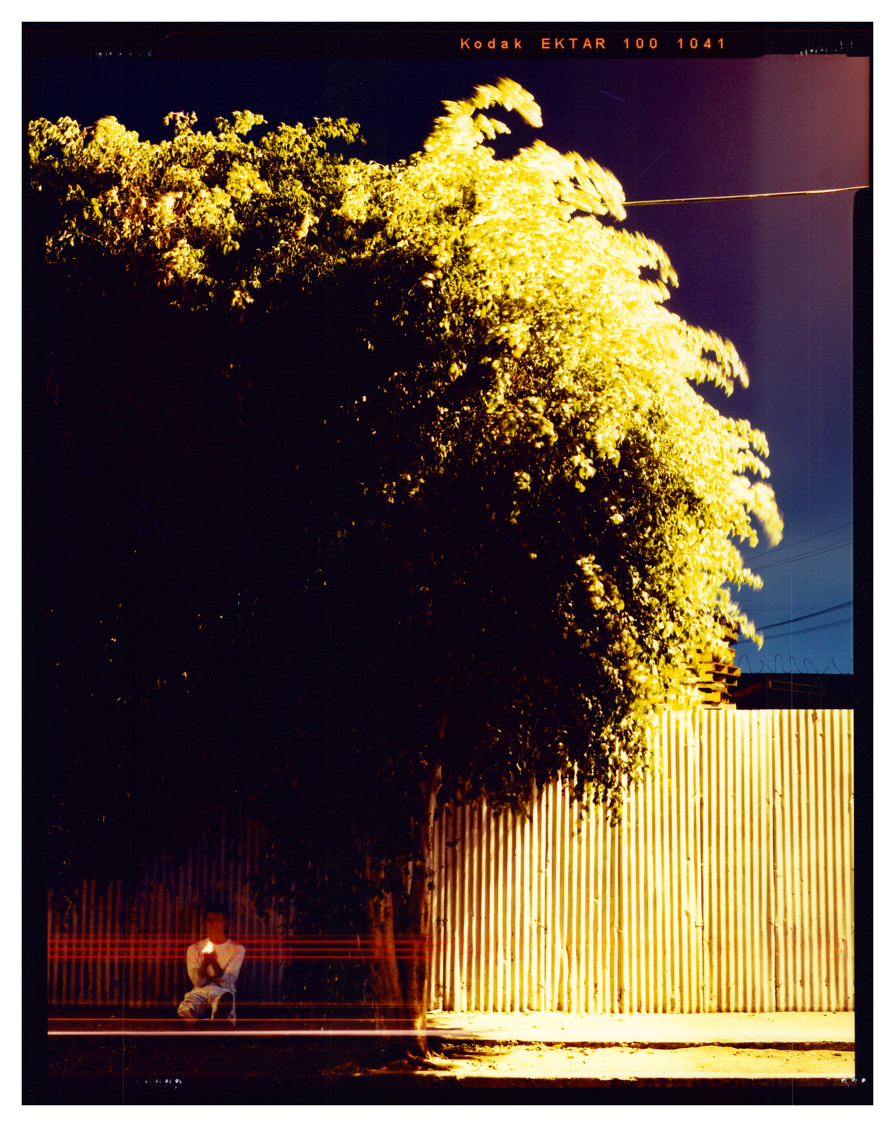 My Interest in Birdwatching Had Made Me a Bit of a Loner, 2014Luster RA-4 paperEdition of 6 plus 2 AP9.81 x 12.473 in.24.92 x 31.68 cm