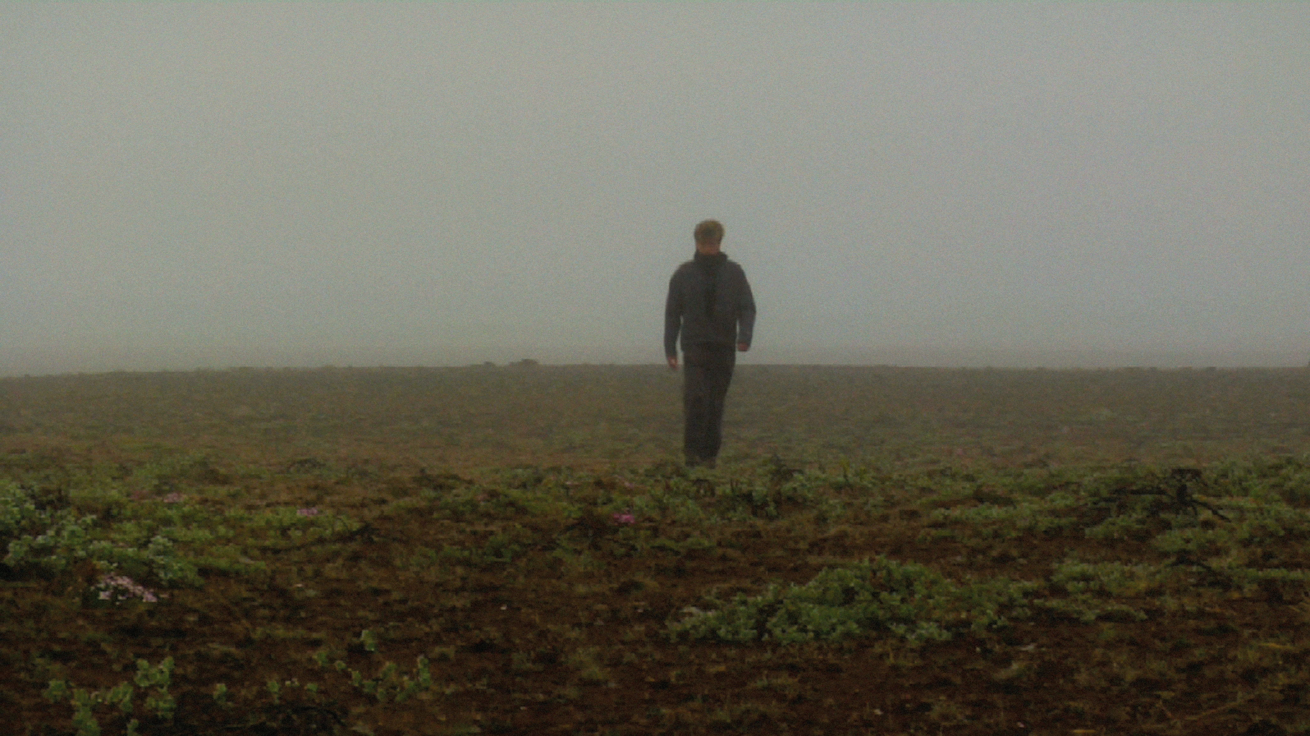 Recurrence Relation 1, 2008. Duration: 5:06 minutes. (still frame)