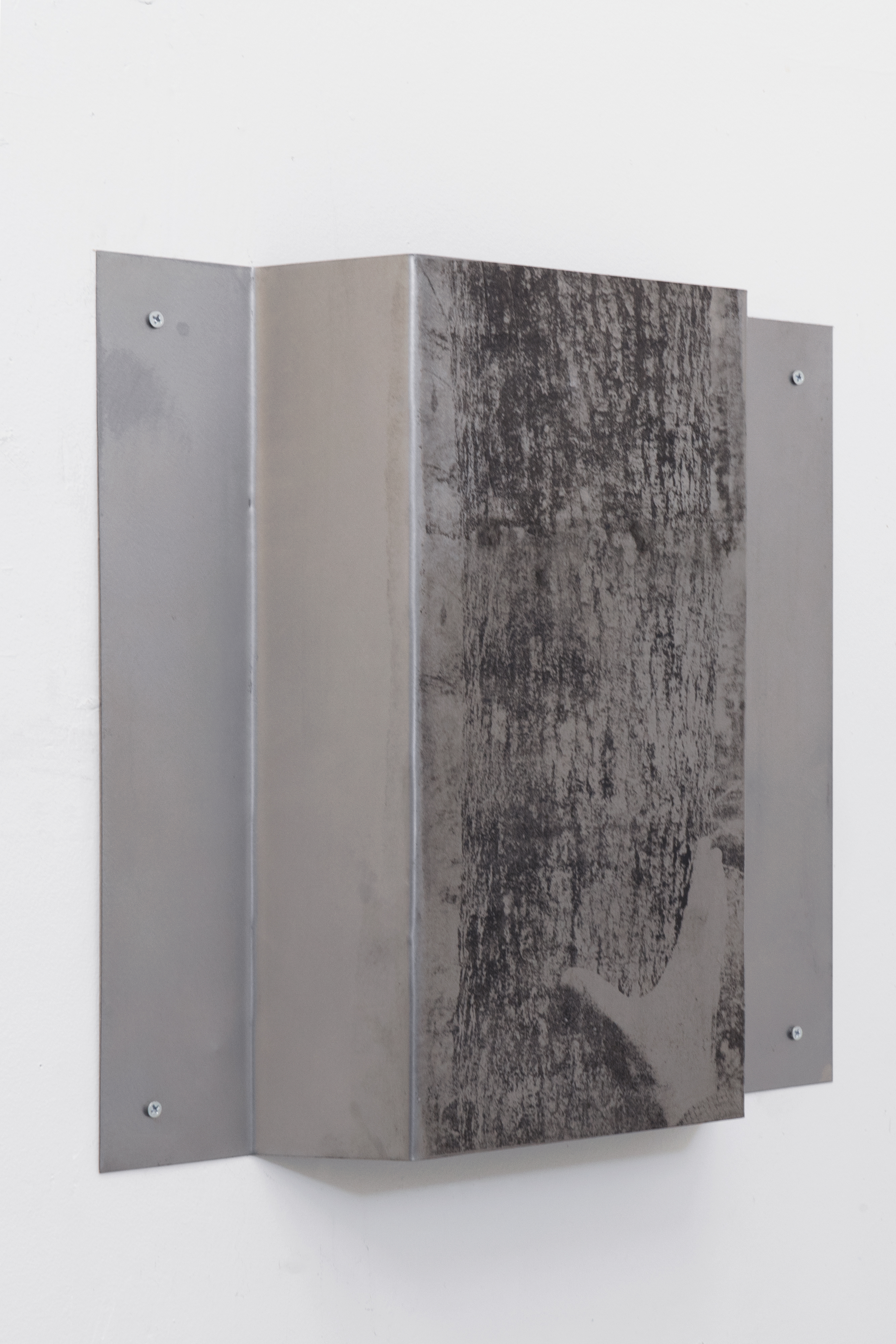 The World is Places (Black Ash Tree) / 2025 / Paper litho on steel, hardware / 20 x 27 x 4 inches