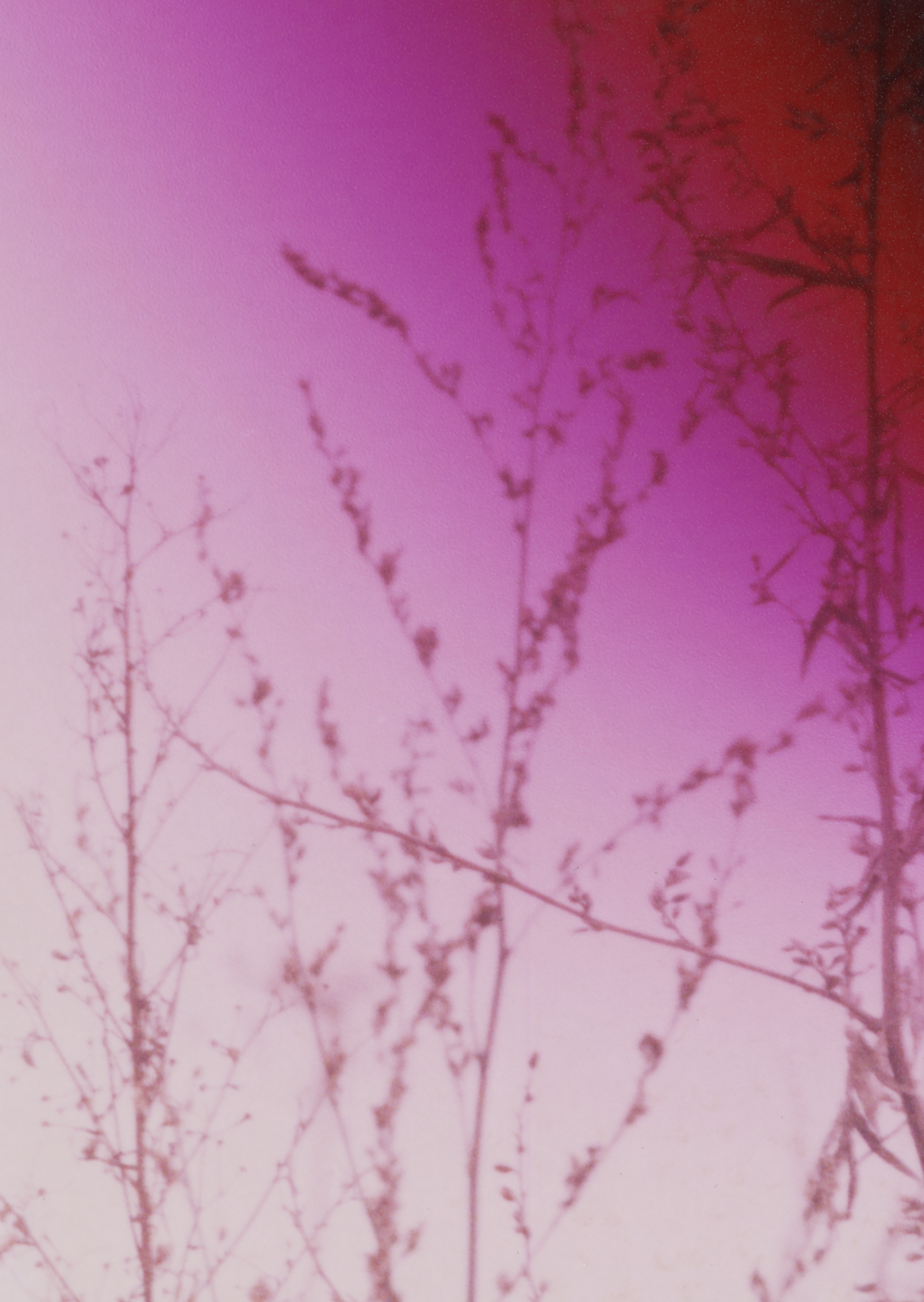 "Soundtrack, n2", analog C-Print