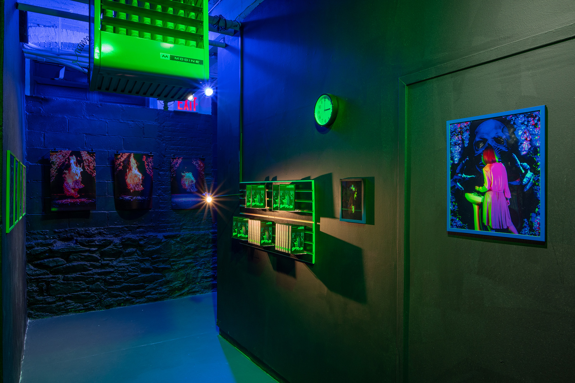 The Mother of Sighs (Installation View), Ortega y Gasset Projects, Brooklyn