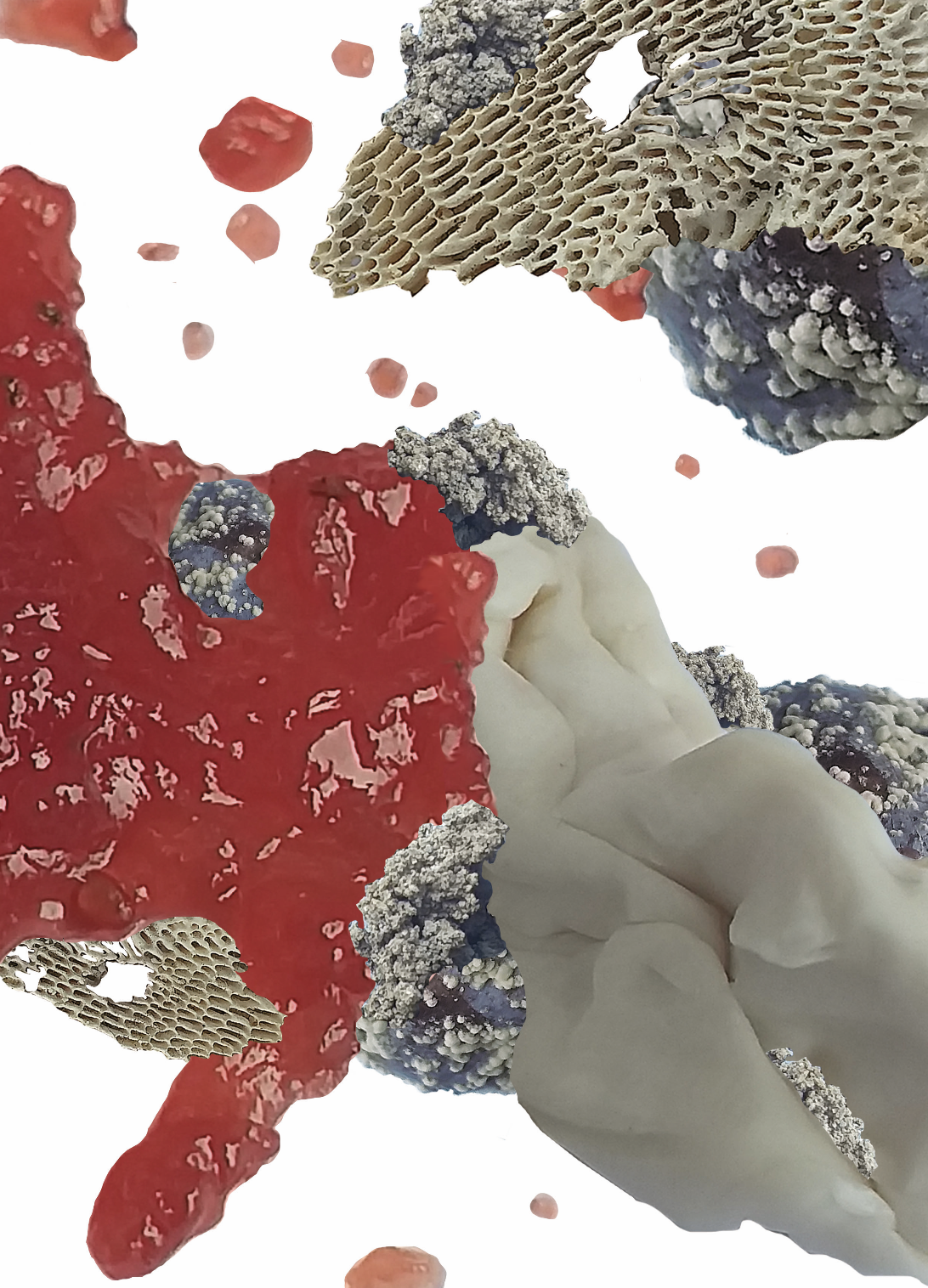 Forms of Togetherness - Artwork and Writing 2020