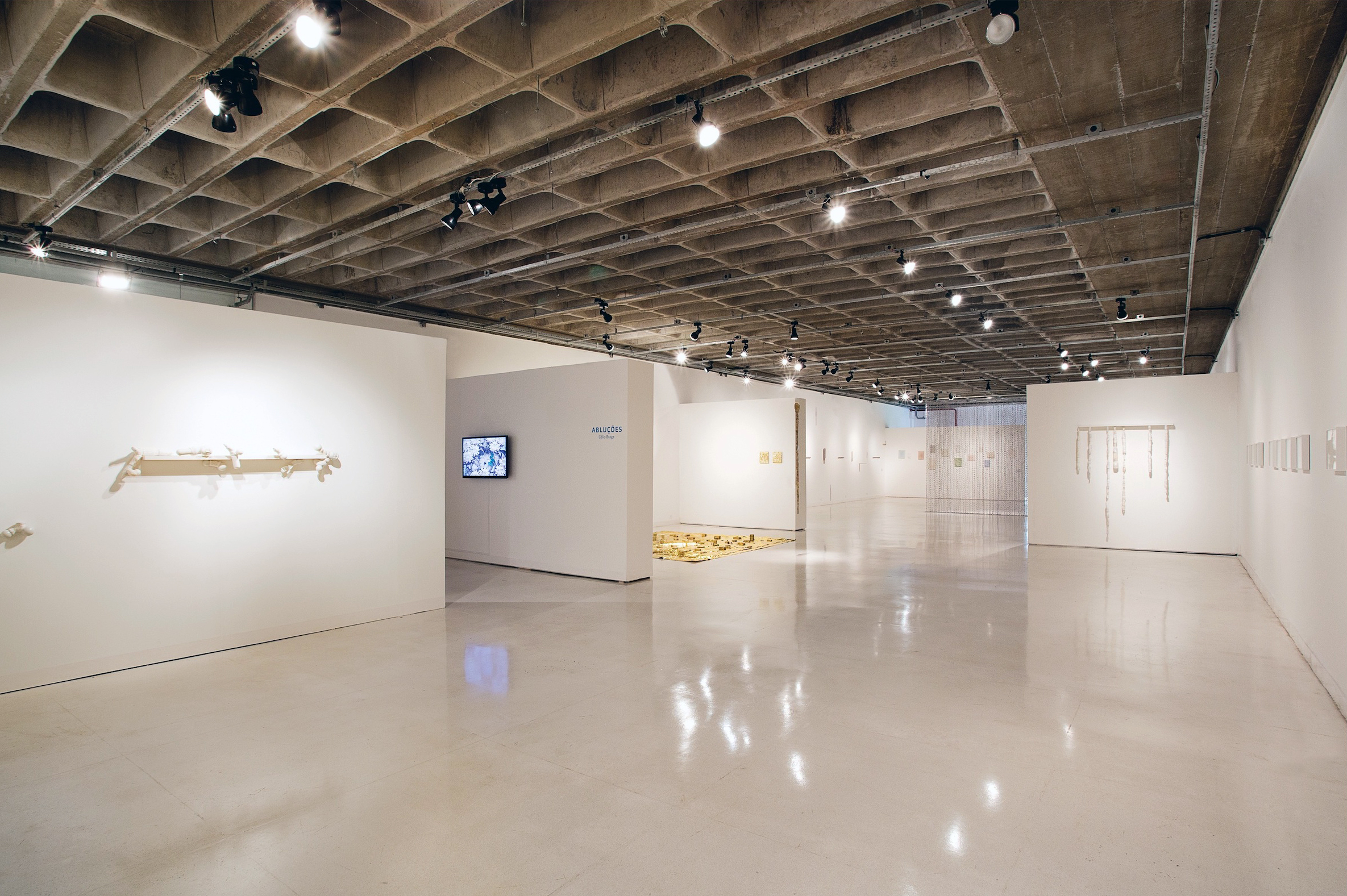  ‘Ablutions’ (Installation View), 2016 . MAC-Goiás . Goiânia, Brasil