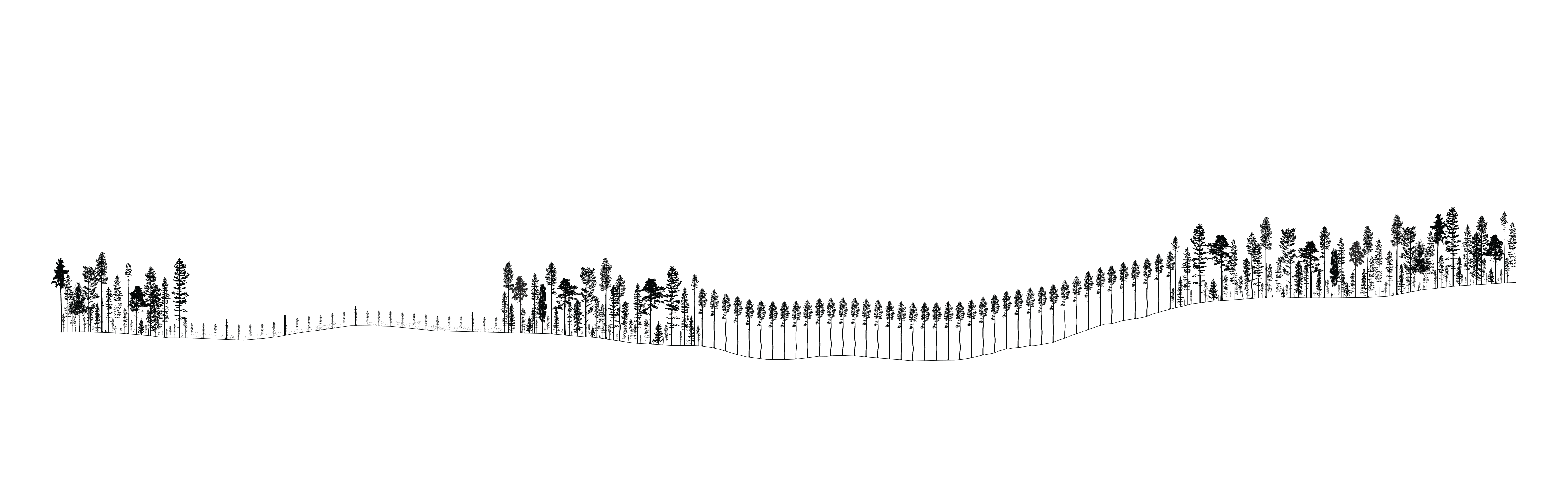 øsvm IV. flatehogst og naturvernskorridorer. 2020