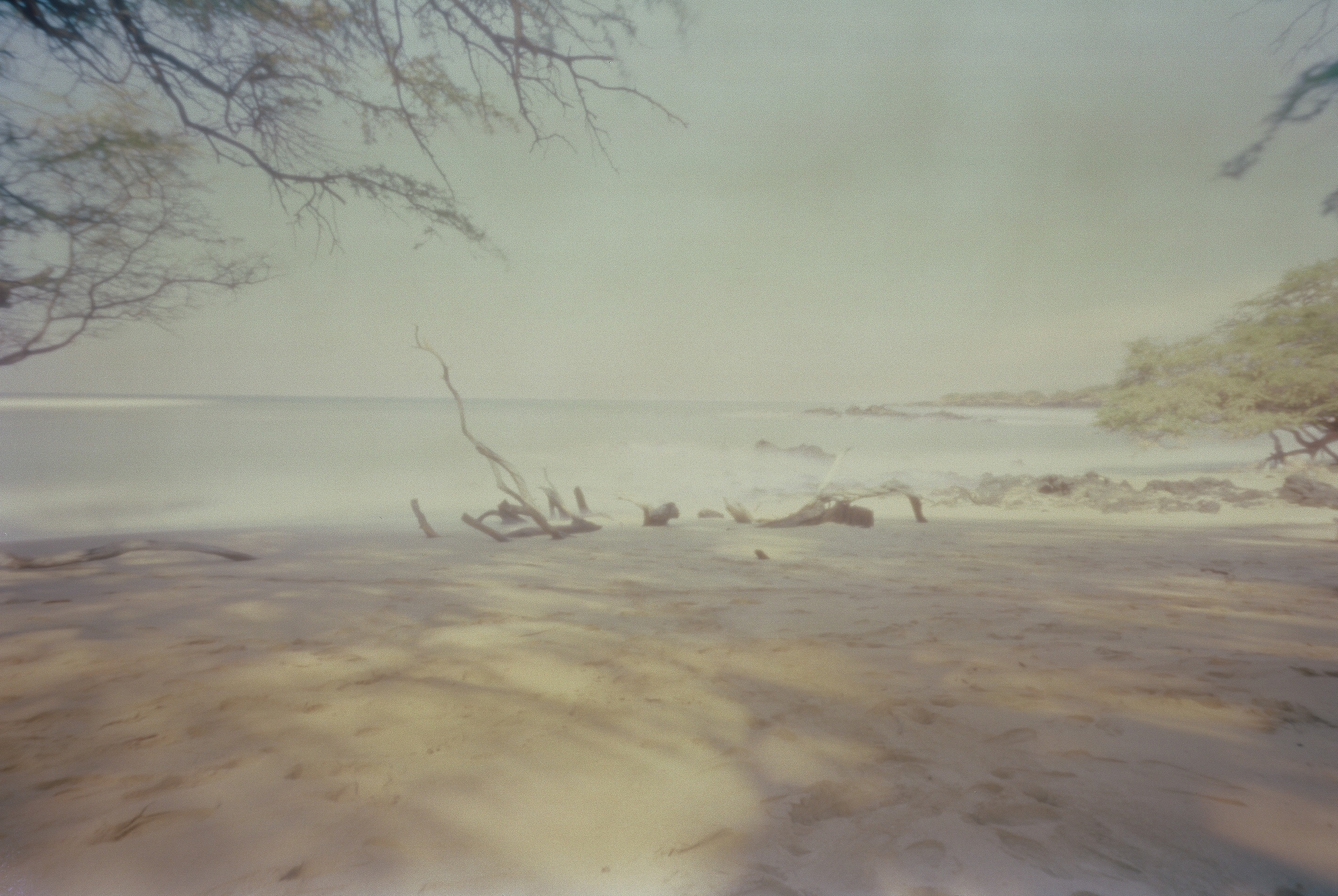 "Shadowy Dali Beach"