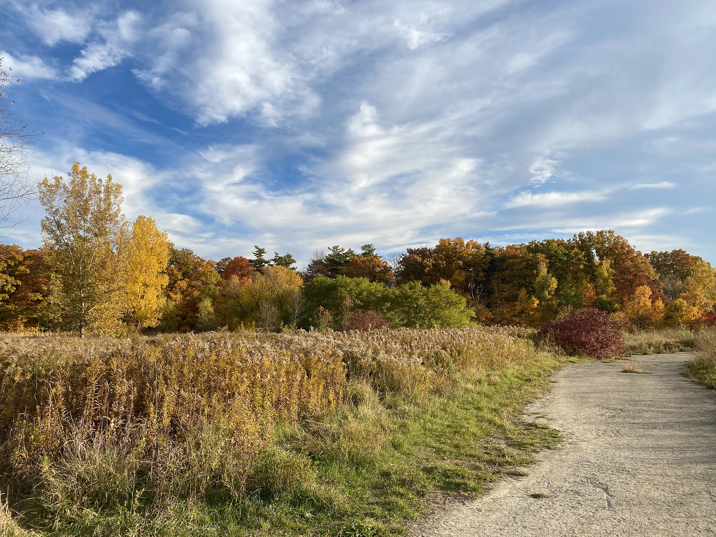 lakeview, photography, 2022