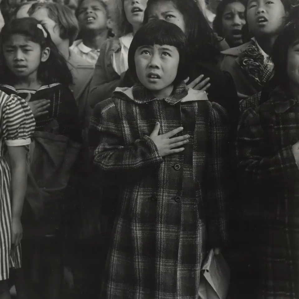 Dorothea Lange / MoMA teaser