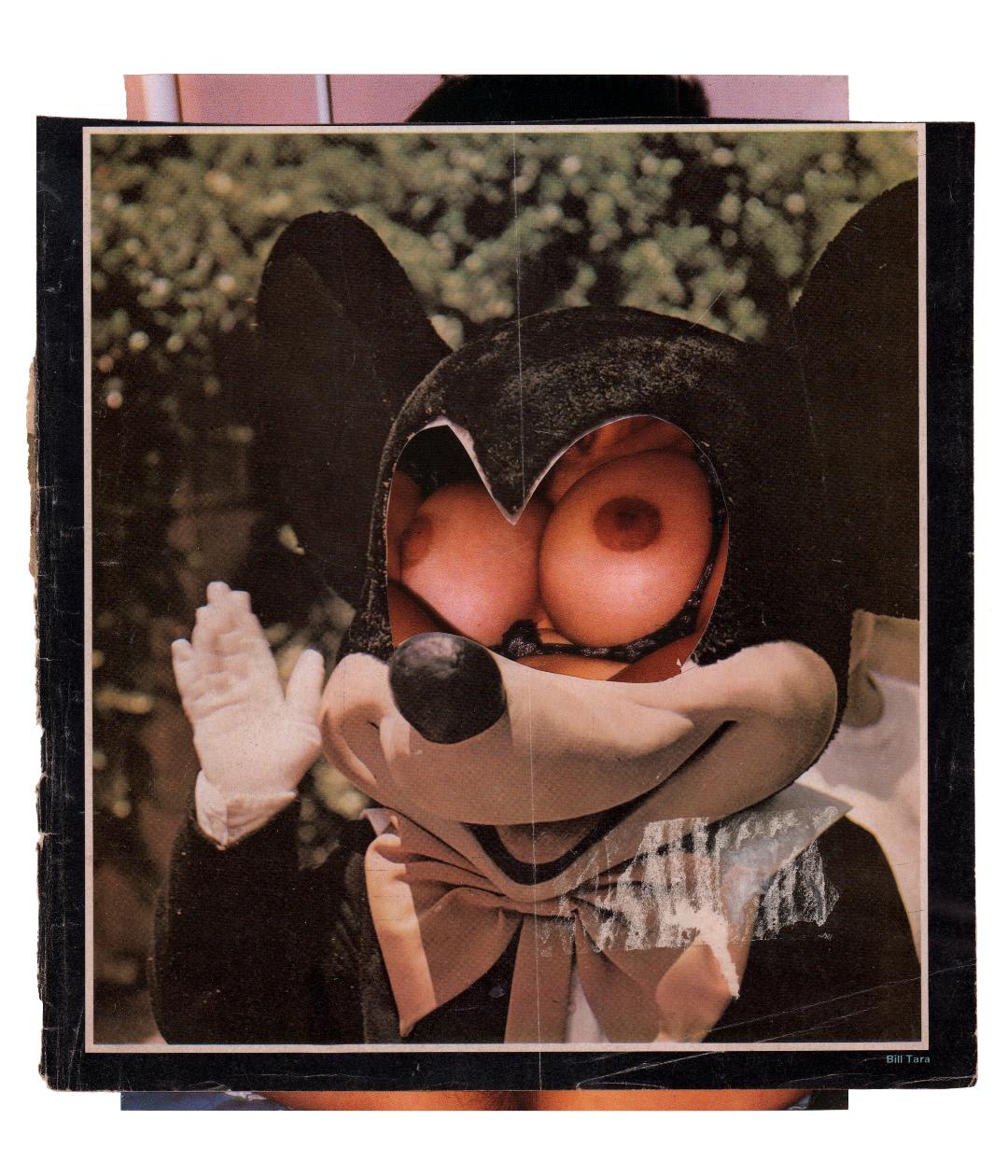 A History of America, 2022, photomontage, 35 x 41 cm