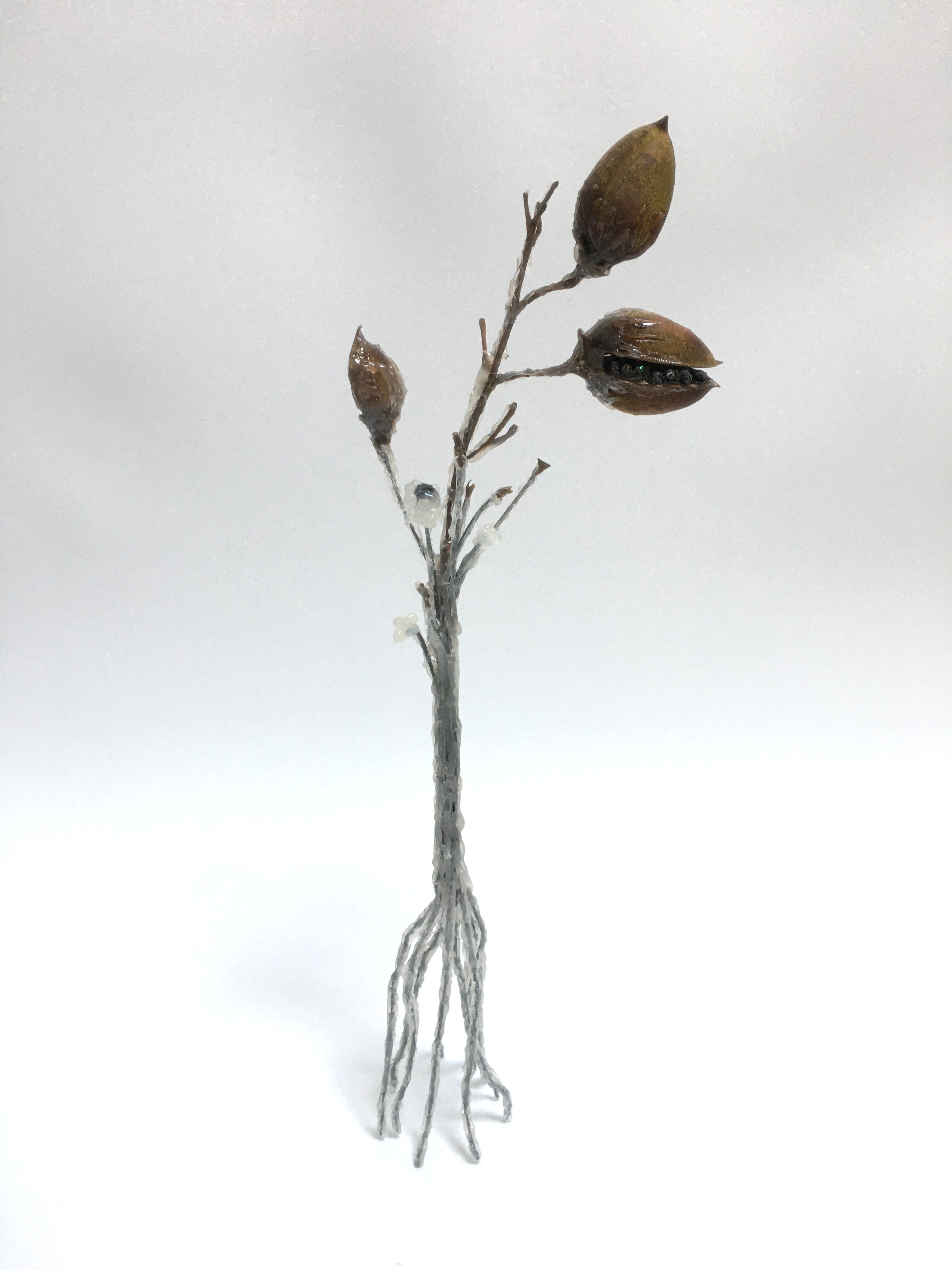 Végétations fantasmagoriques