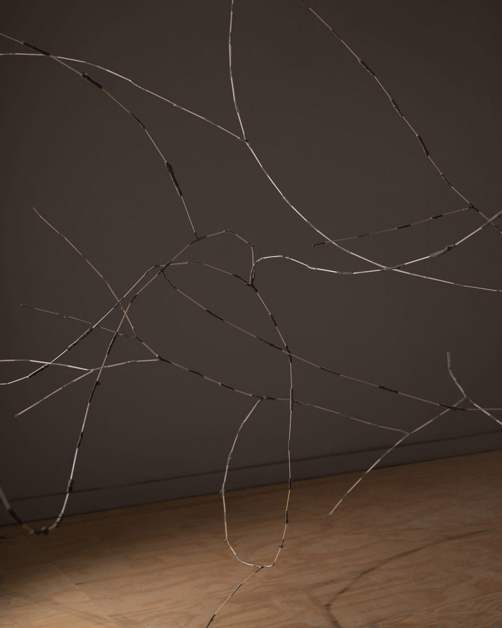 Installation view. Branches, bamboo, monofilament, nails. 2019.