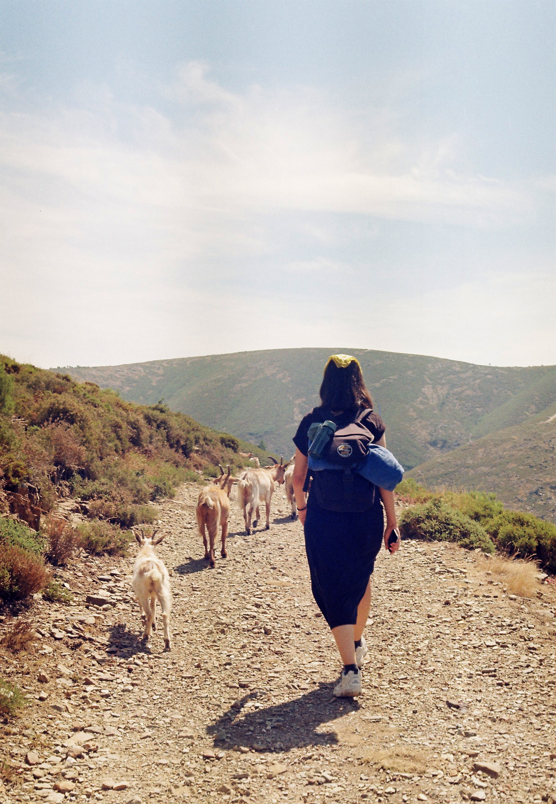 Francisca, Drave Portugal, 2021, Canon FTb, Kodak Film